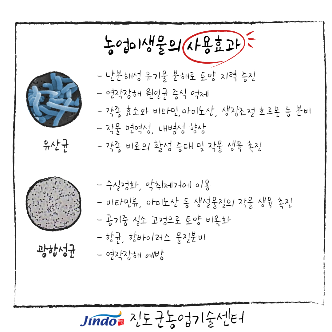 2021년 유용미생물 확대 보급 및 사용효과 안내 첨부#4