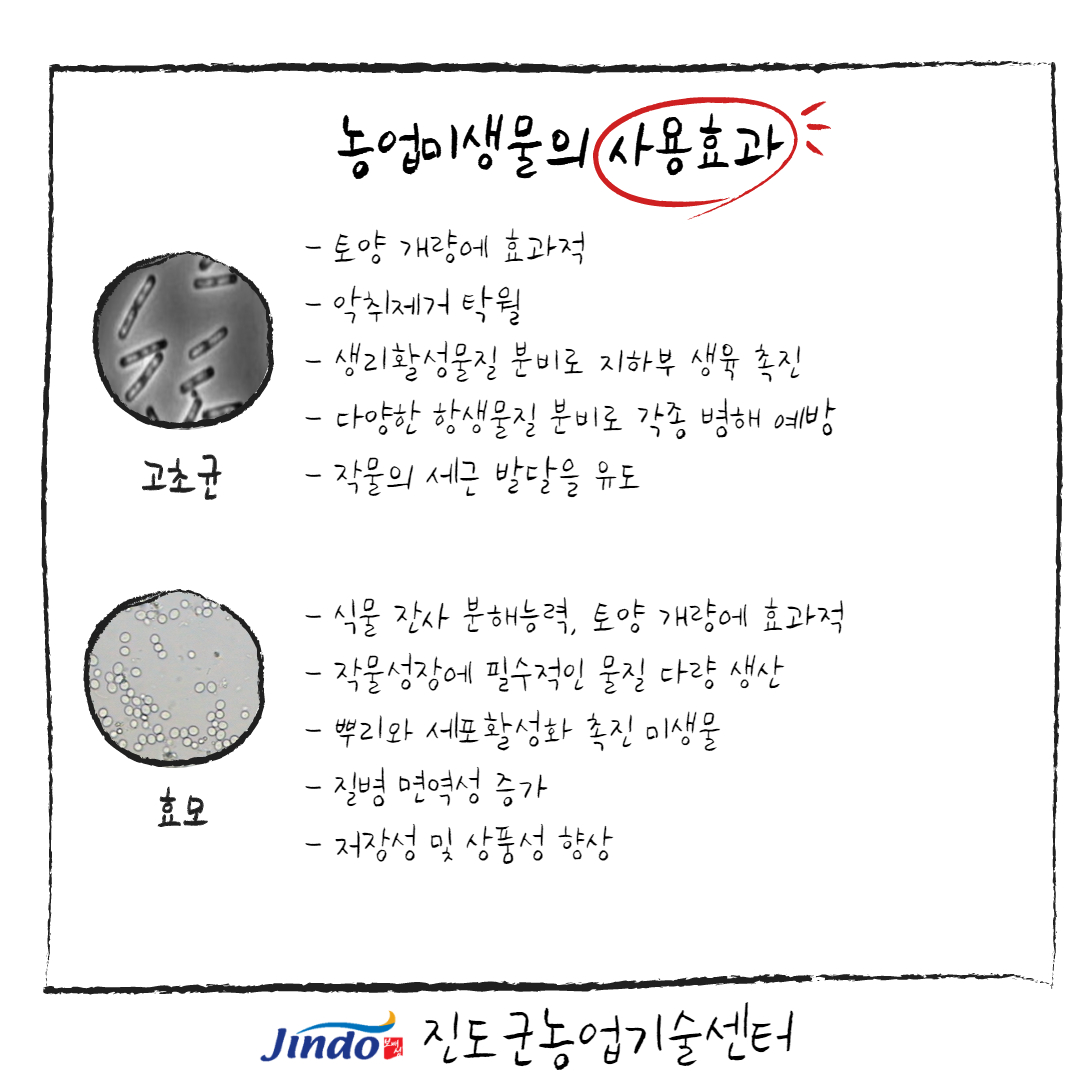 2021년 유용미생물 확대 보급 및 사용효과 안내 첨부#5