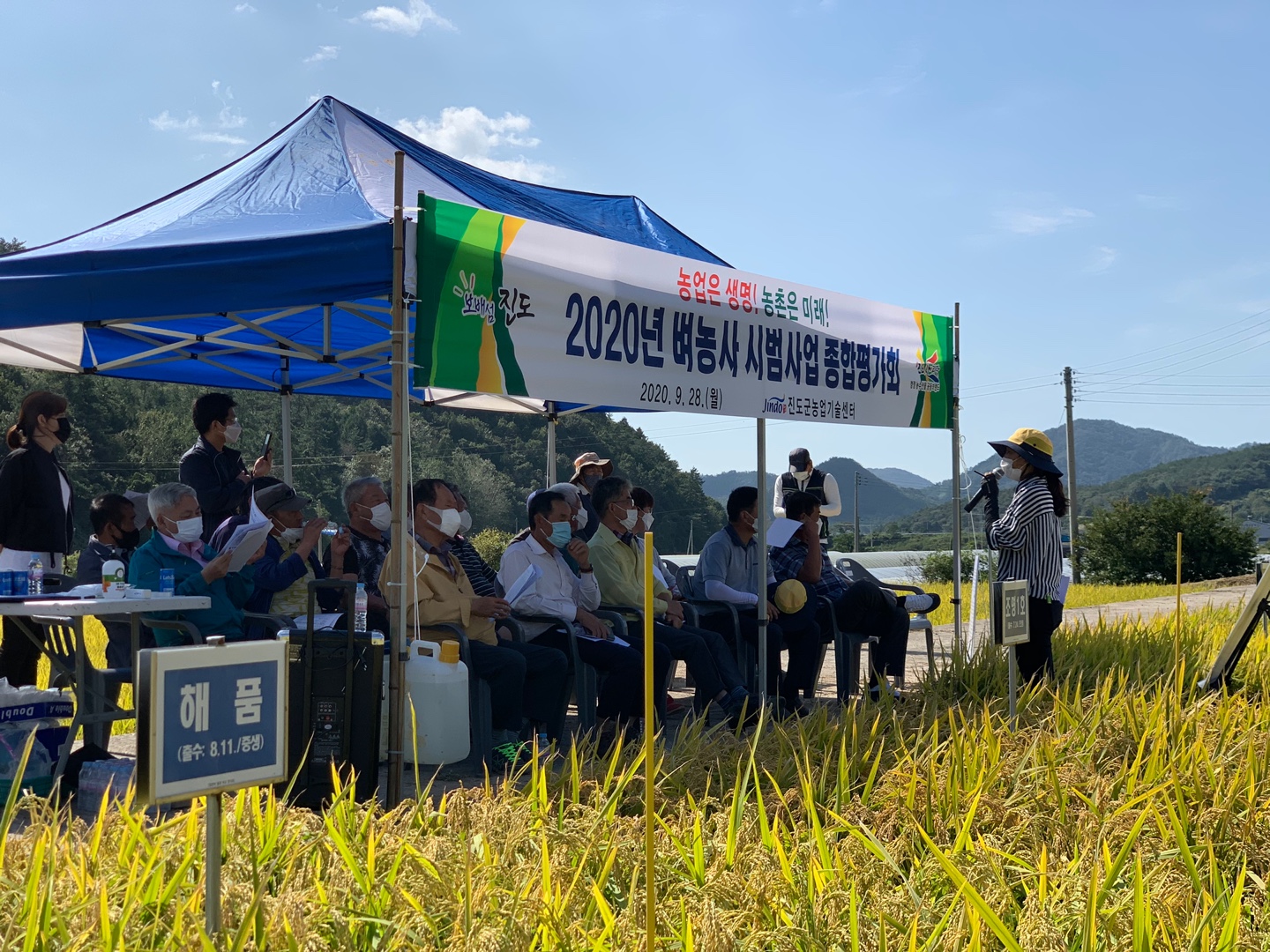 진도군, 벼농사 시범사업 평가회 열어 이미지