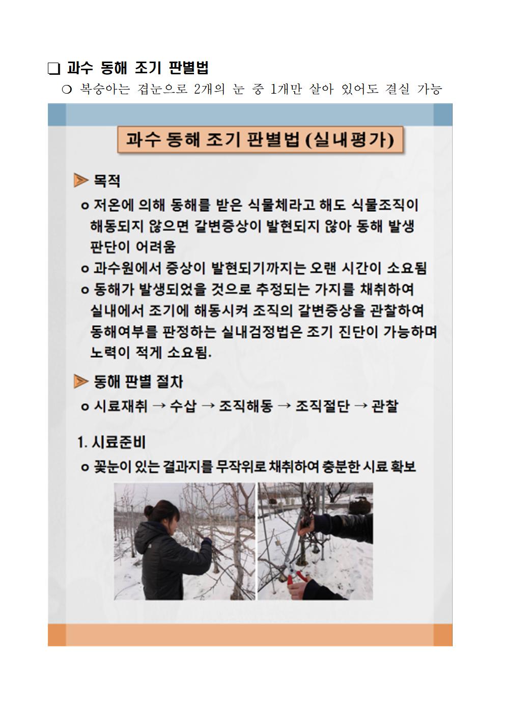 복숭아 동해 한계온도 및 동해피해 경감대책 첨부#4
