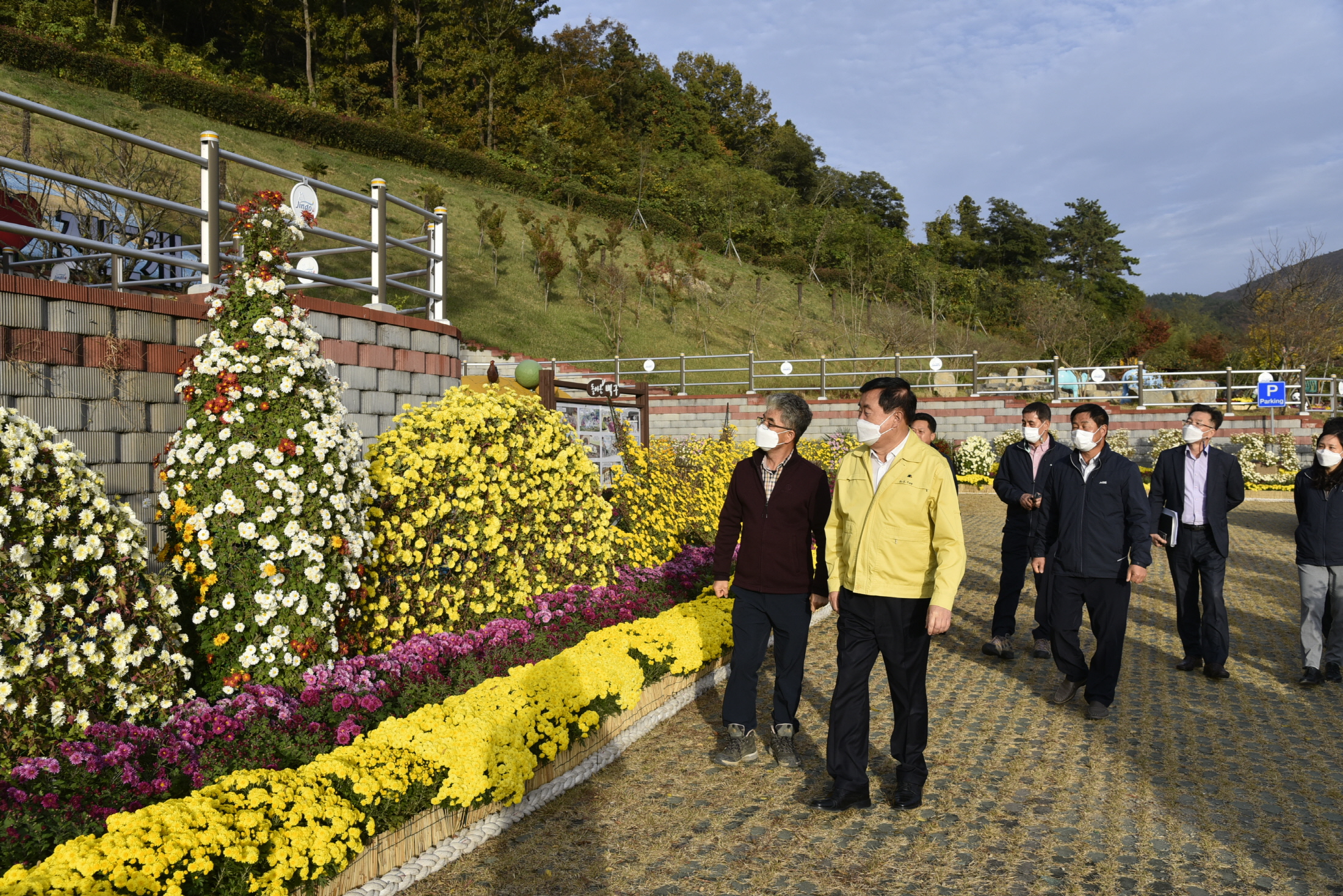 국화분재 전시장 방문 이미지