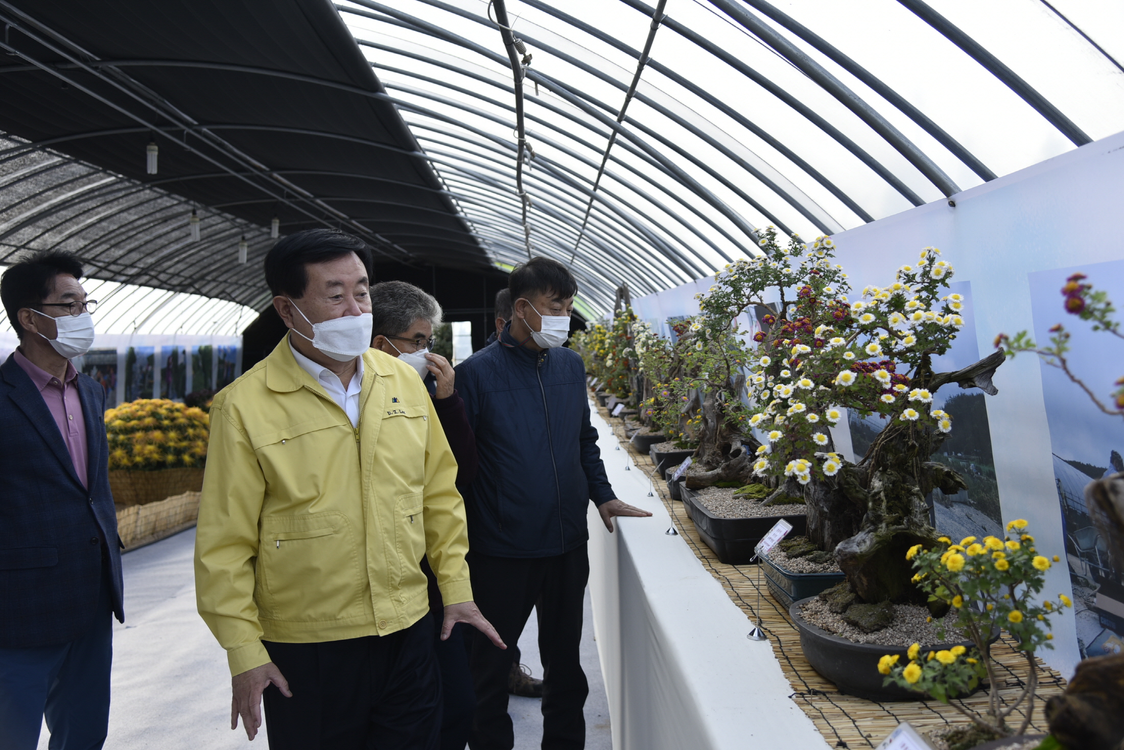 국화분재 전시장 방문 첨부#2