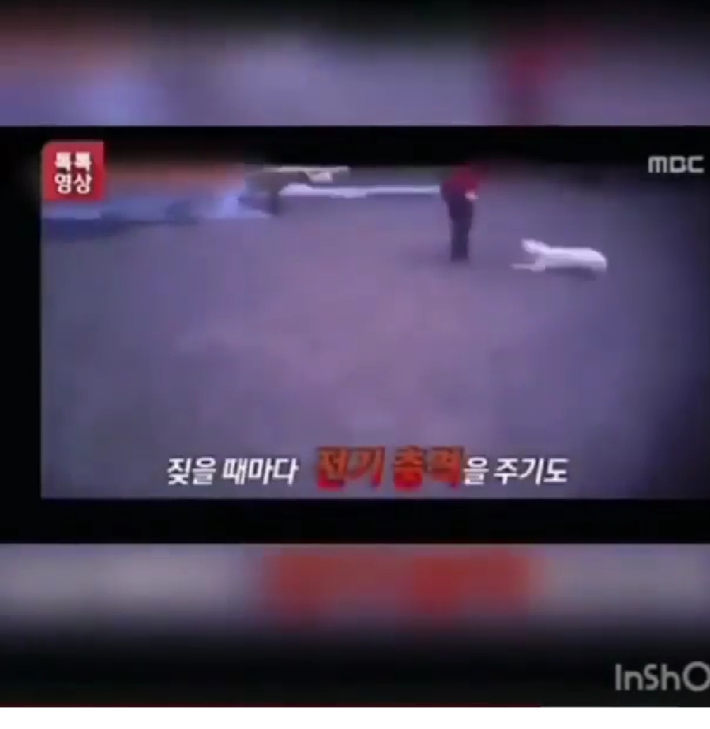 잔혹한 진도테마파크 중단 요구 첨부#1