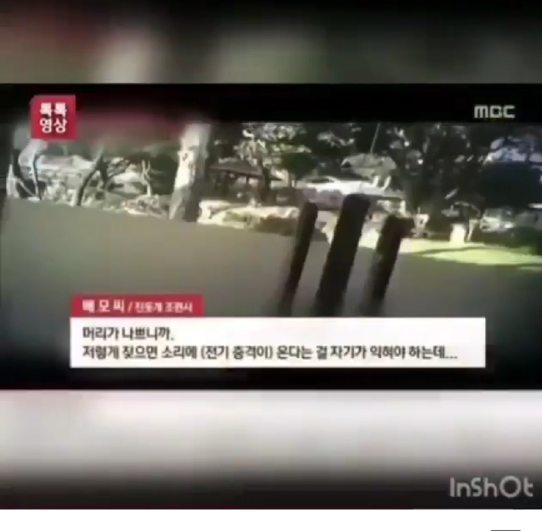 잔혹한 진도테마파크 중단 요구 첨부#2