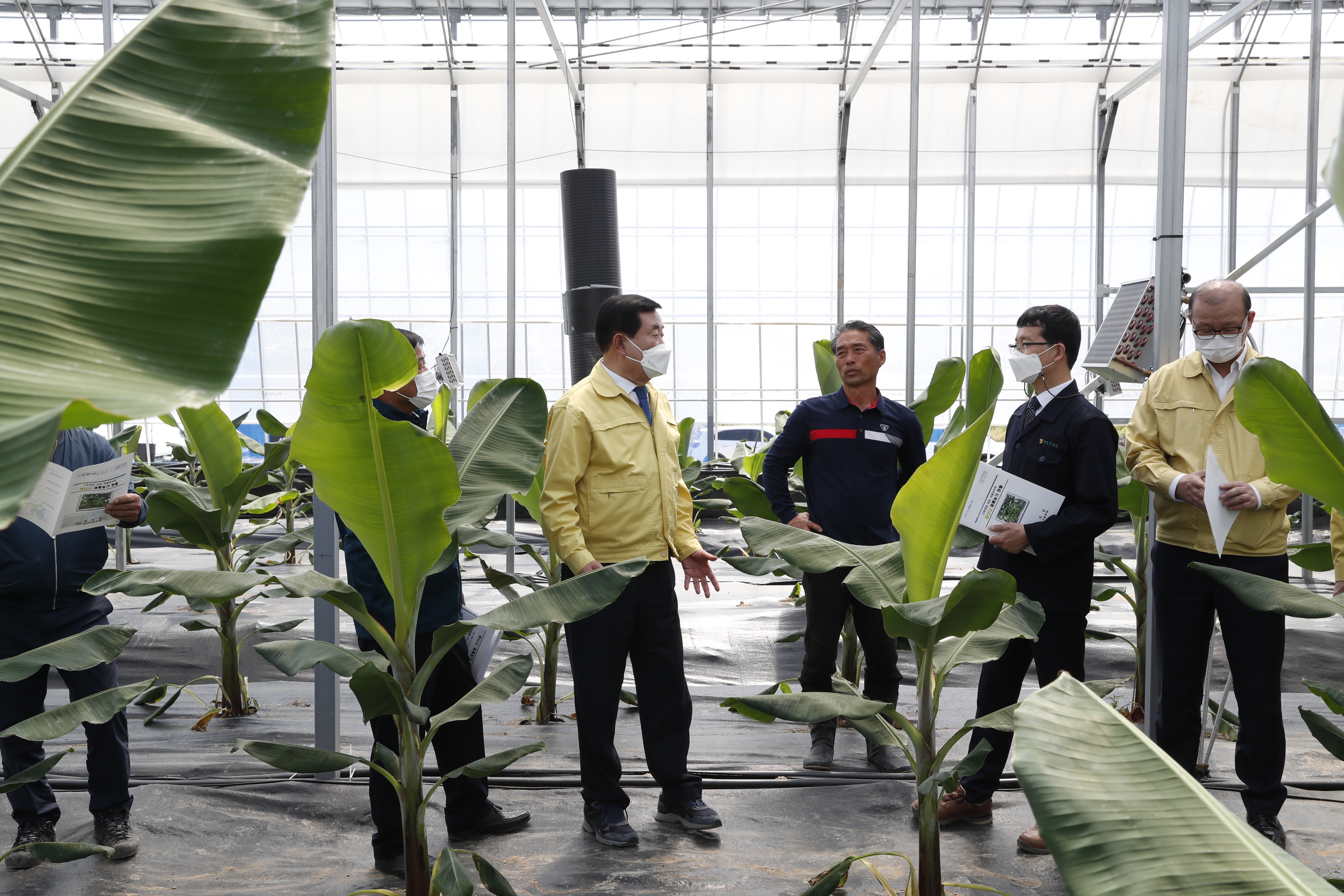 2021 시니어 일자리 추진 영농 현장방문 첨부#2