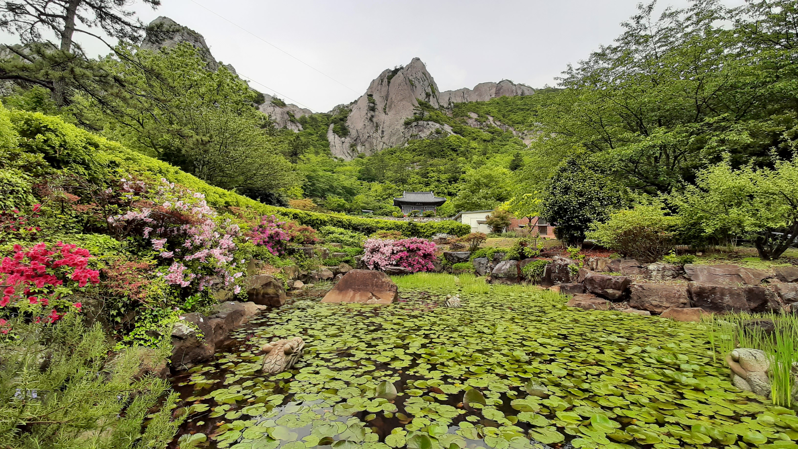 해설사 이평기님을 칭찬합니다! 첨부#1