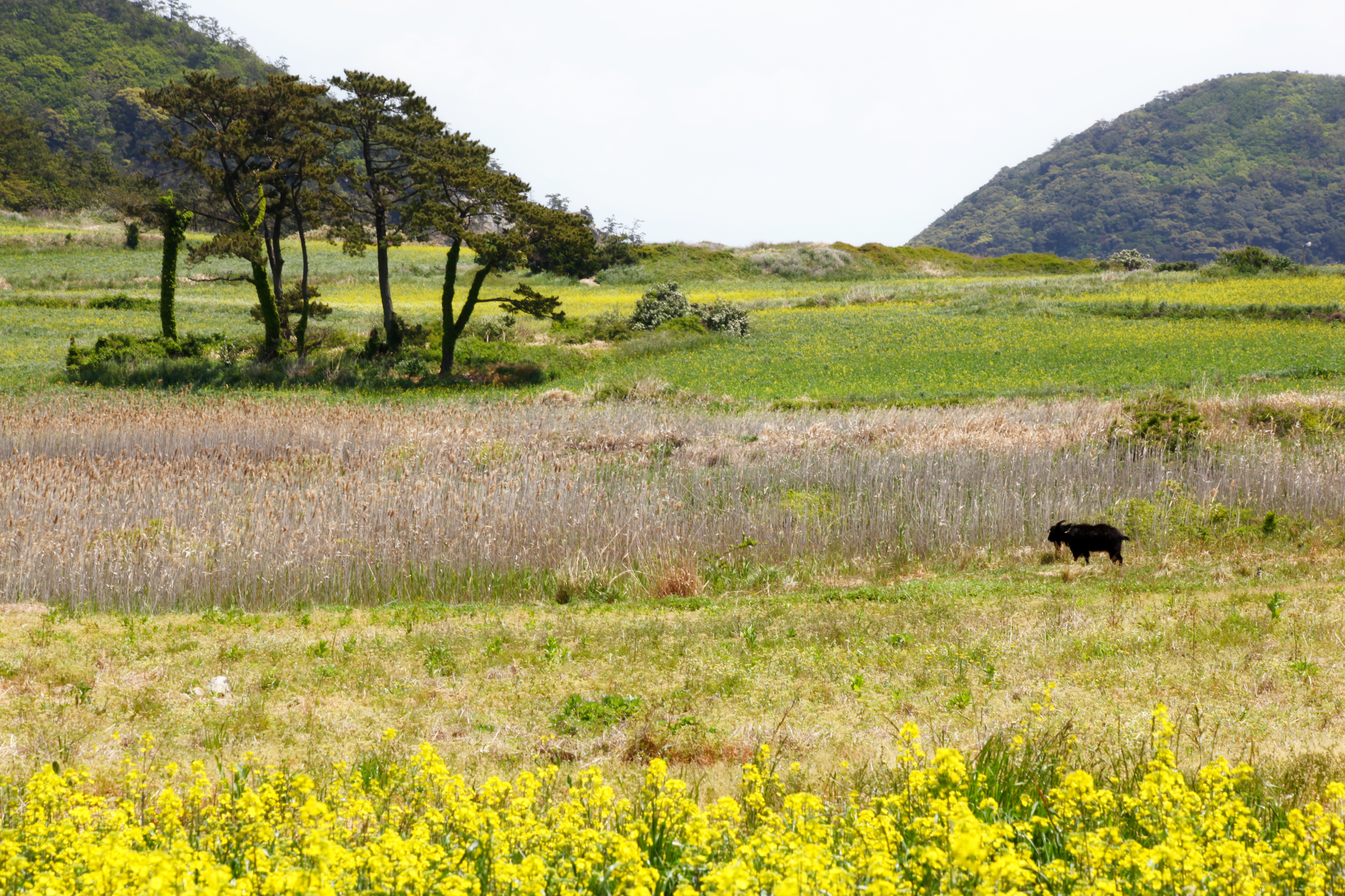 해설사 이평기님을 칭찬합니다! 첨부#2
