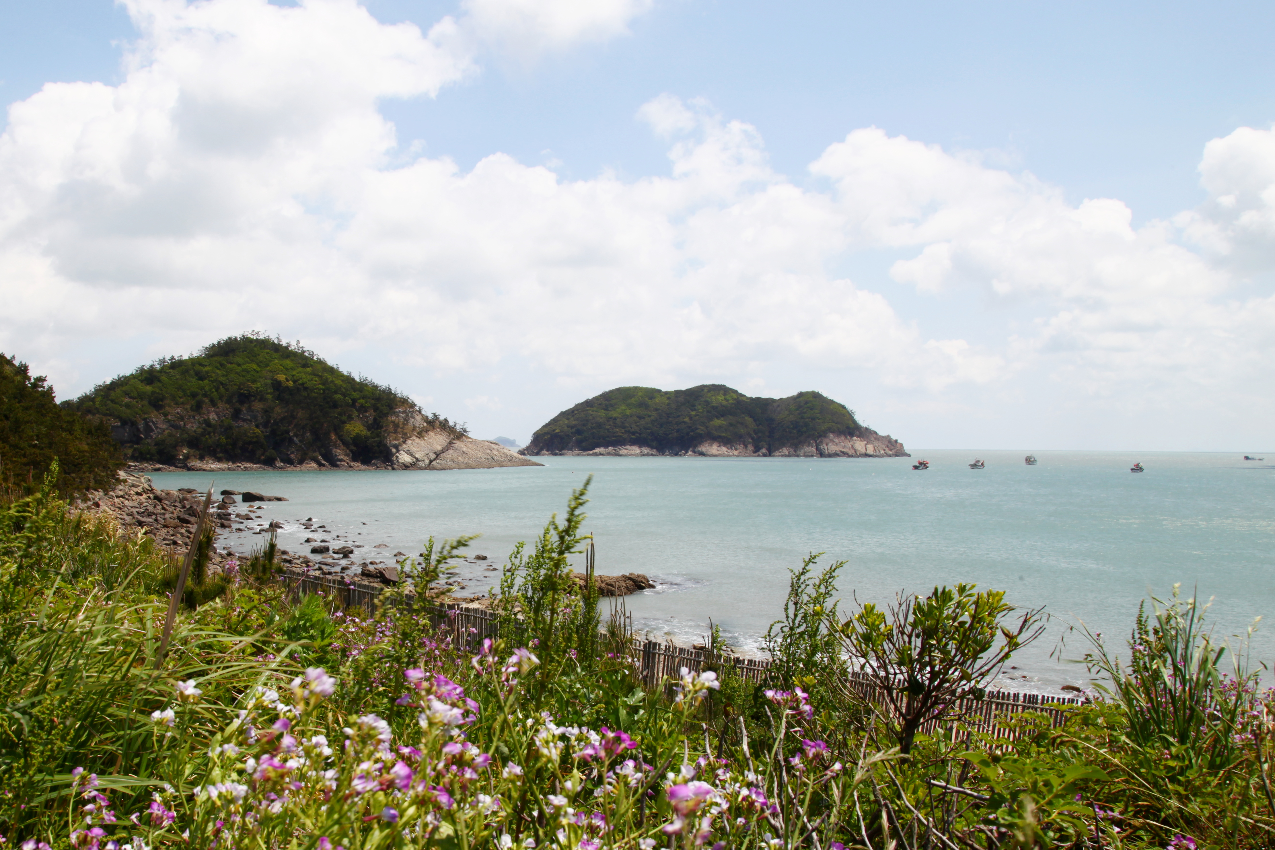 해설사 이평기님을 칭찬합니다! 첨부#3