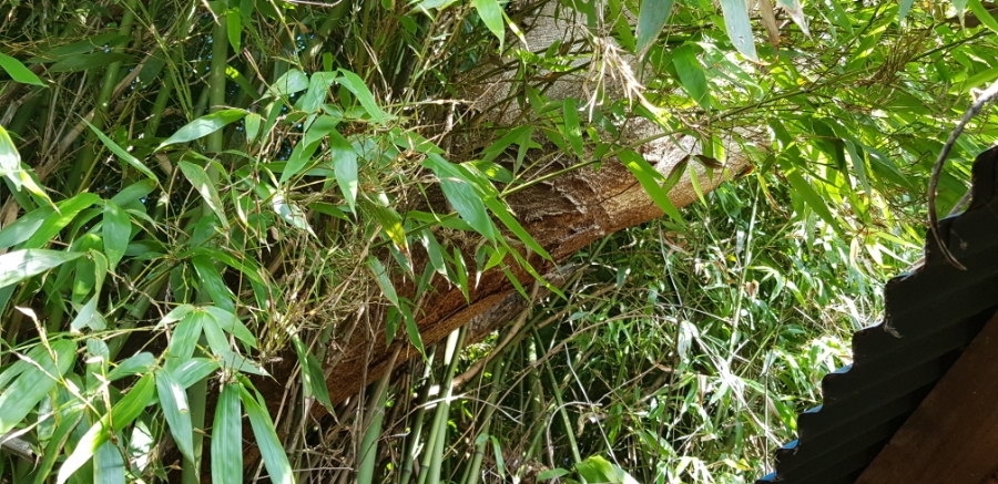 집 주변이 환해졌어요!!! 첨부#2