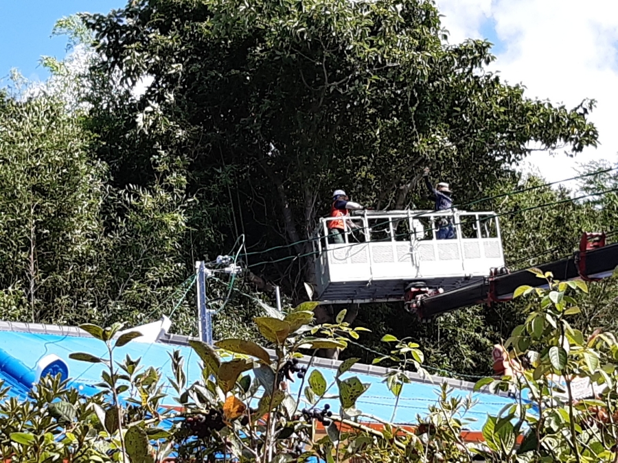 집 주변이 환해졌어요!!! 첨부#3