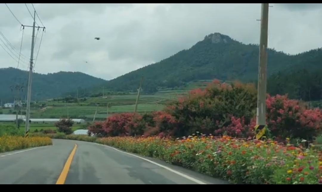 진도군 지산면 관마리 김영화 이장님을 칭찬합니다. 첨부#1