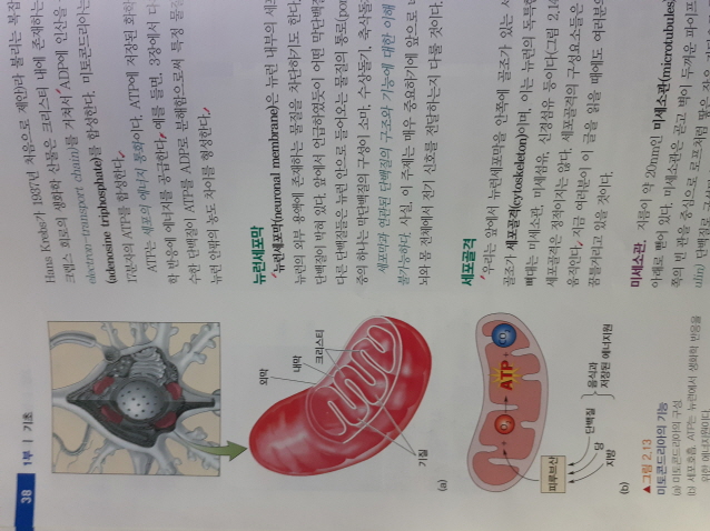 안녕들하세요 첨부#2