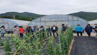 구례군 산동면 생활개선회원 과학영농 실증시험포 견학 이미지