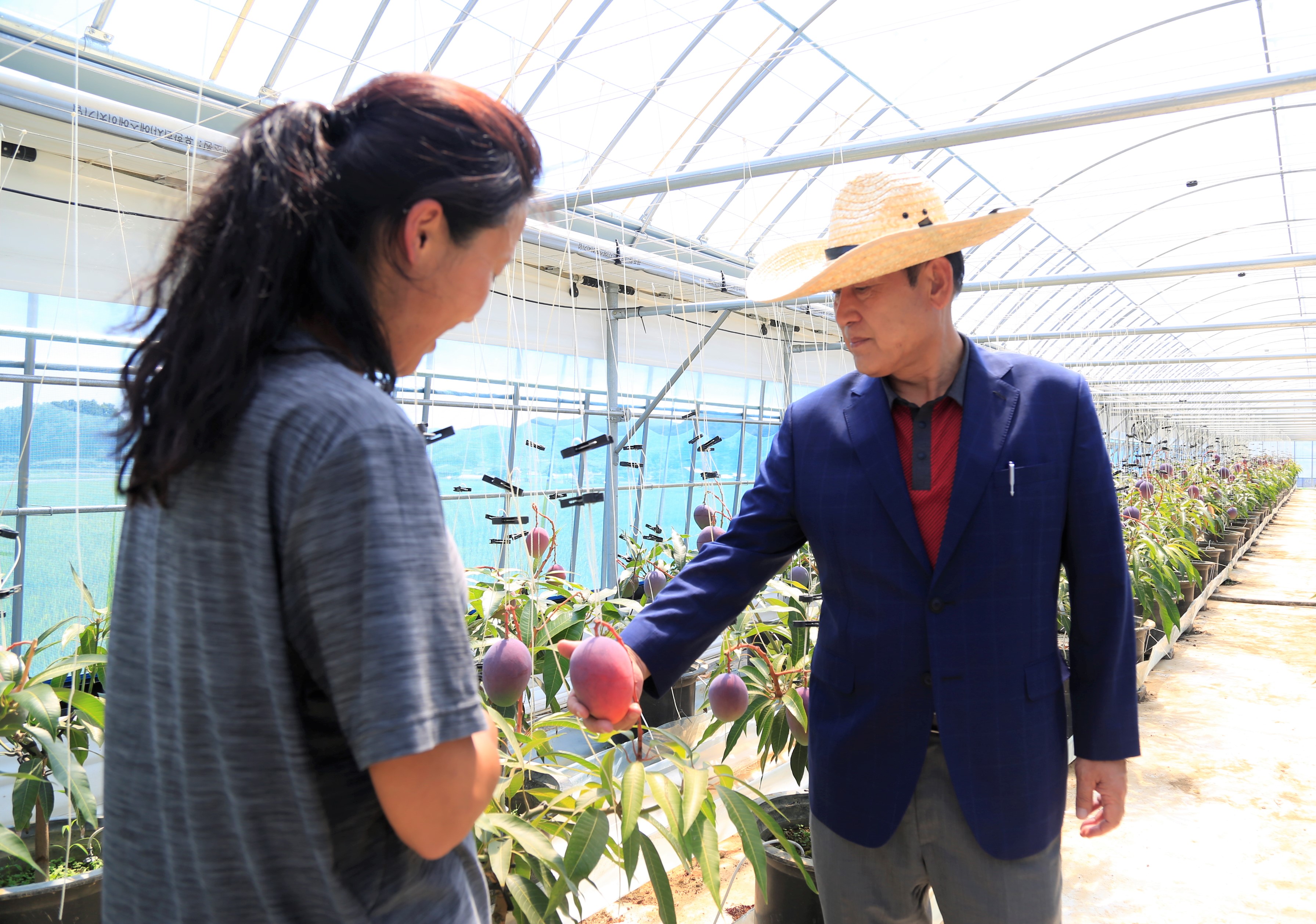 7. 29. 아열대과수 재배 농가 현장 방문 첨부#2