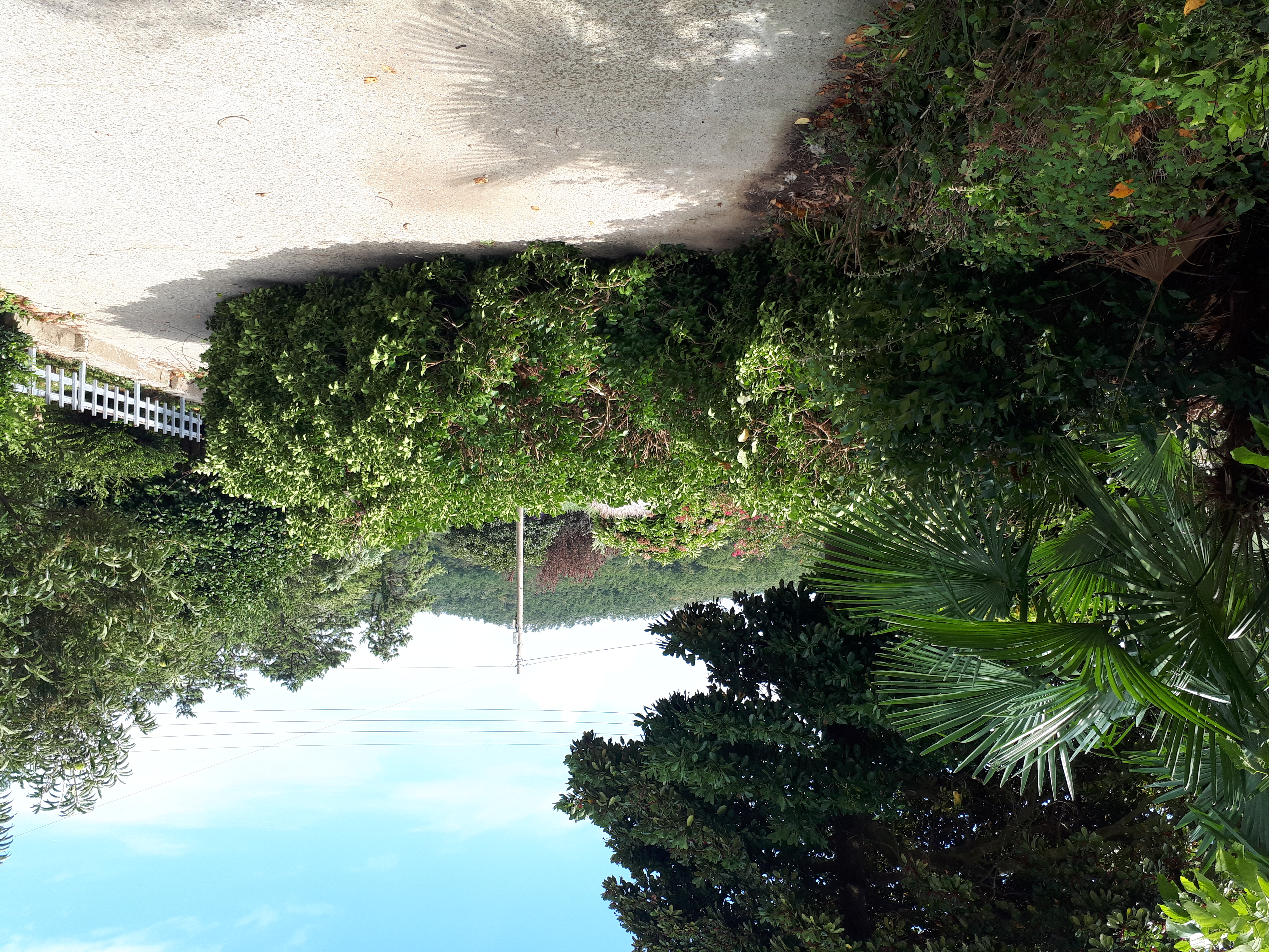 우리동네 일등민원해결사! 조도소방대원님들을 칭찬합시다 첨부#2