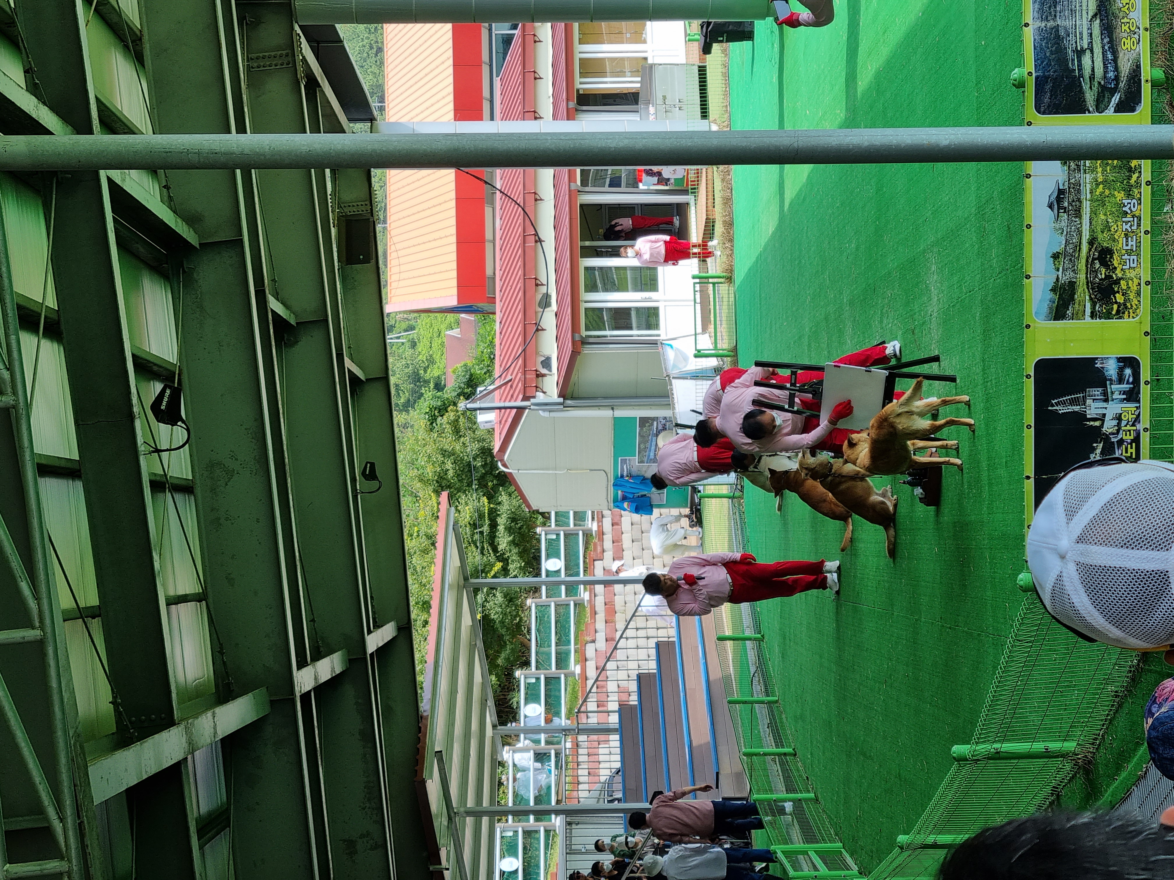 진도개테마공원 첨부#3