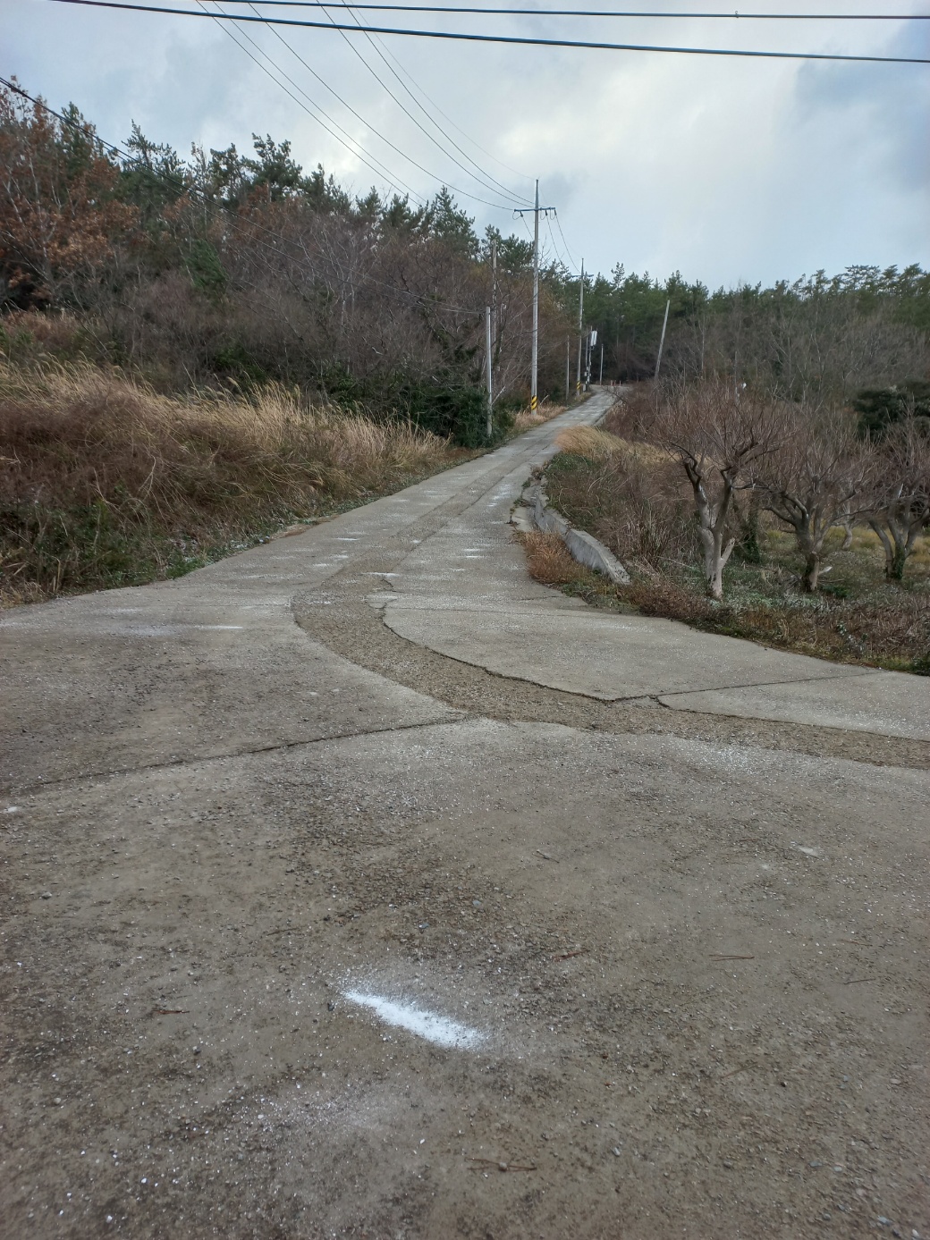 조도면사무소 공무원을 칭찬합니다 첨부#2