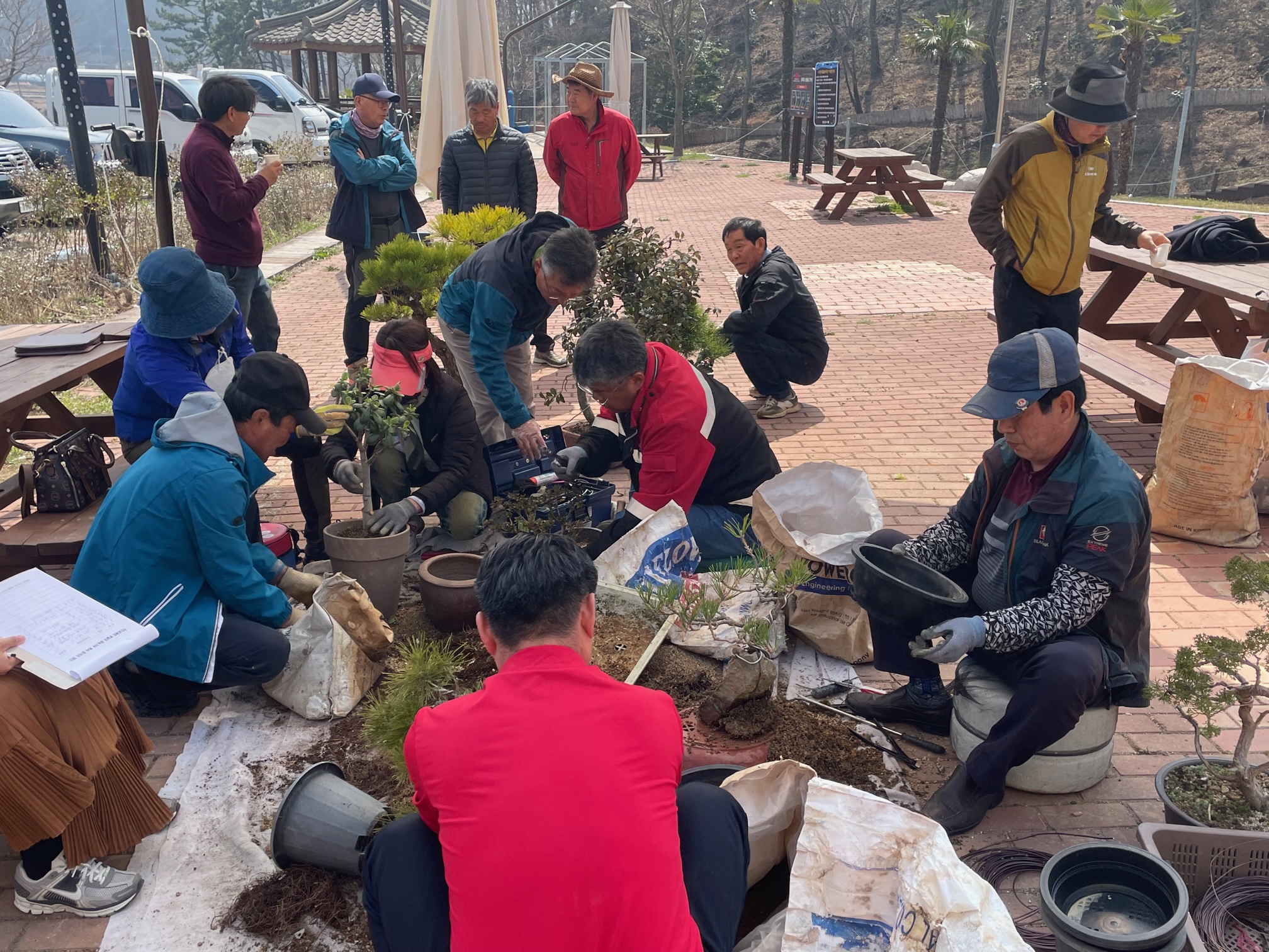 진도군, ‘무료 화분 분갈이 행사’ 진행 이미지