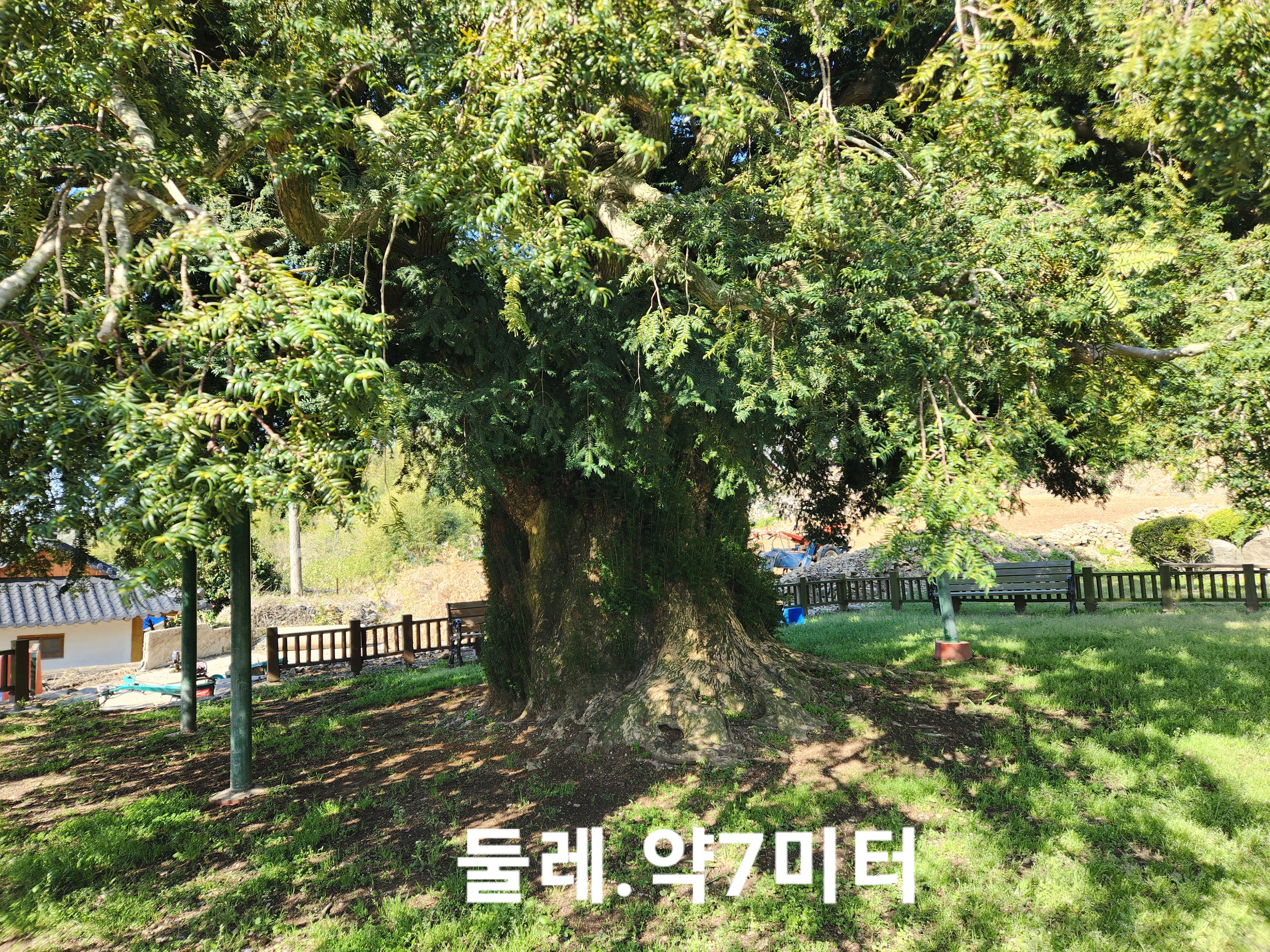 Re : ◈ 진도 운림산방에서 만난 최금숙 해설사님 고맙습니다 ◈ 첨부#1