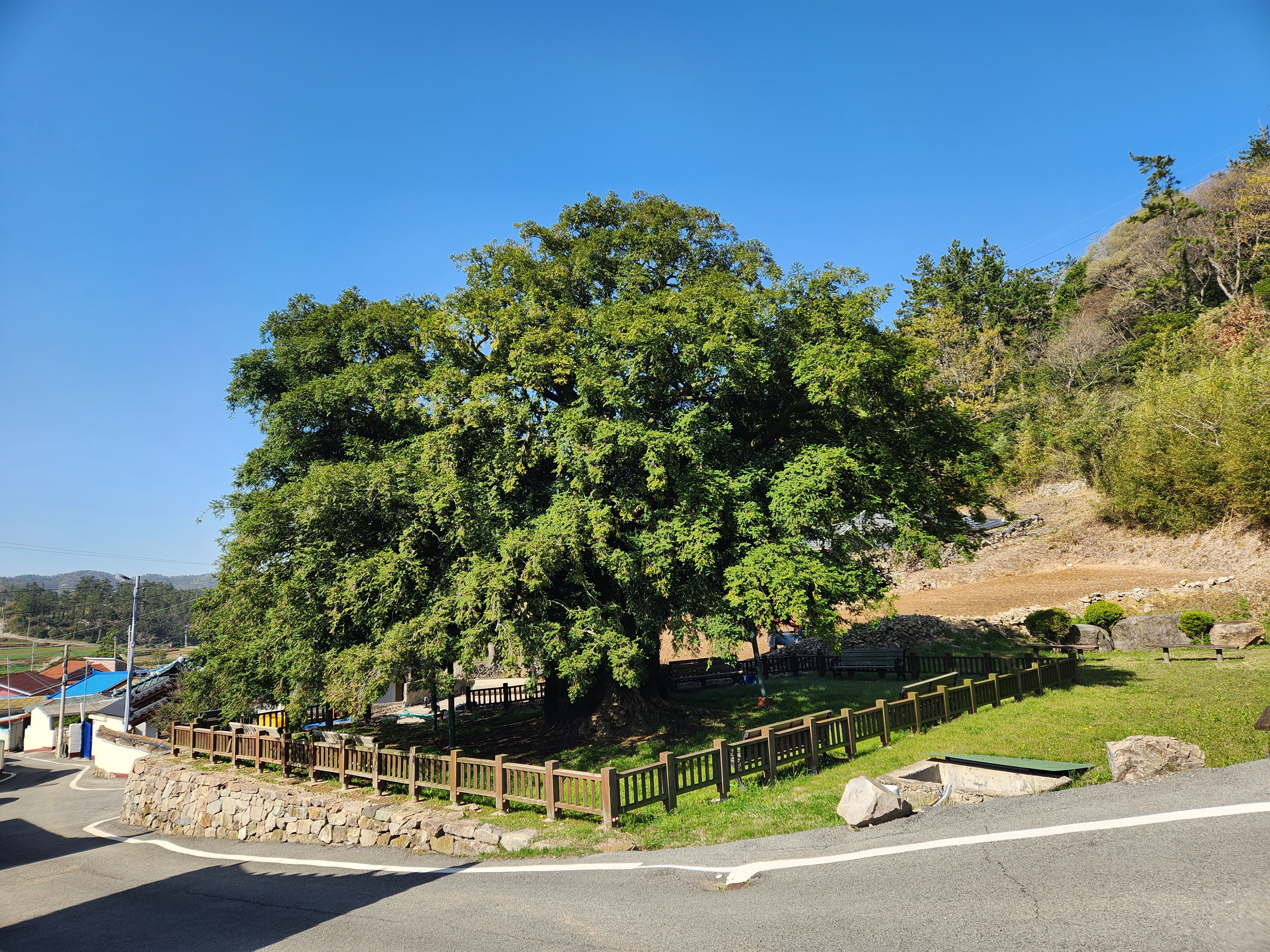 Re : ◈ 진도 운림산방에서 만난 최금숙 해설사님 고맙습니다 ◈ 첨부#2