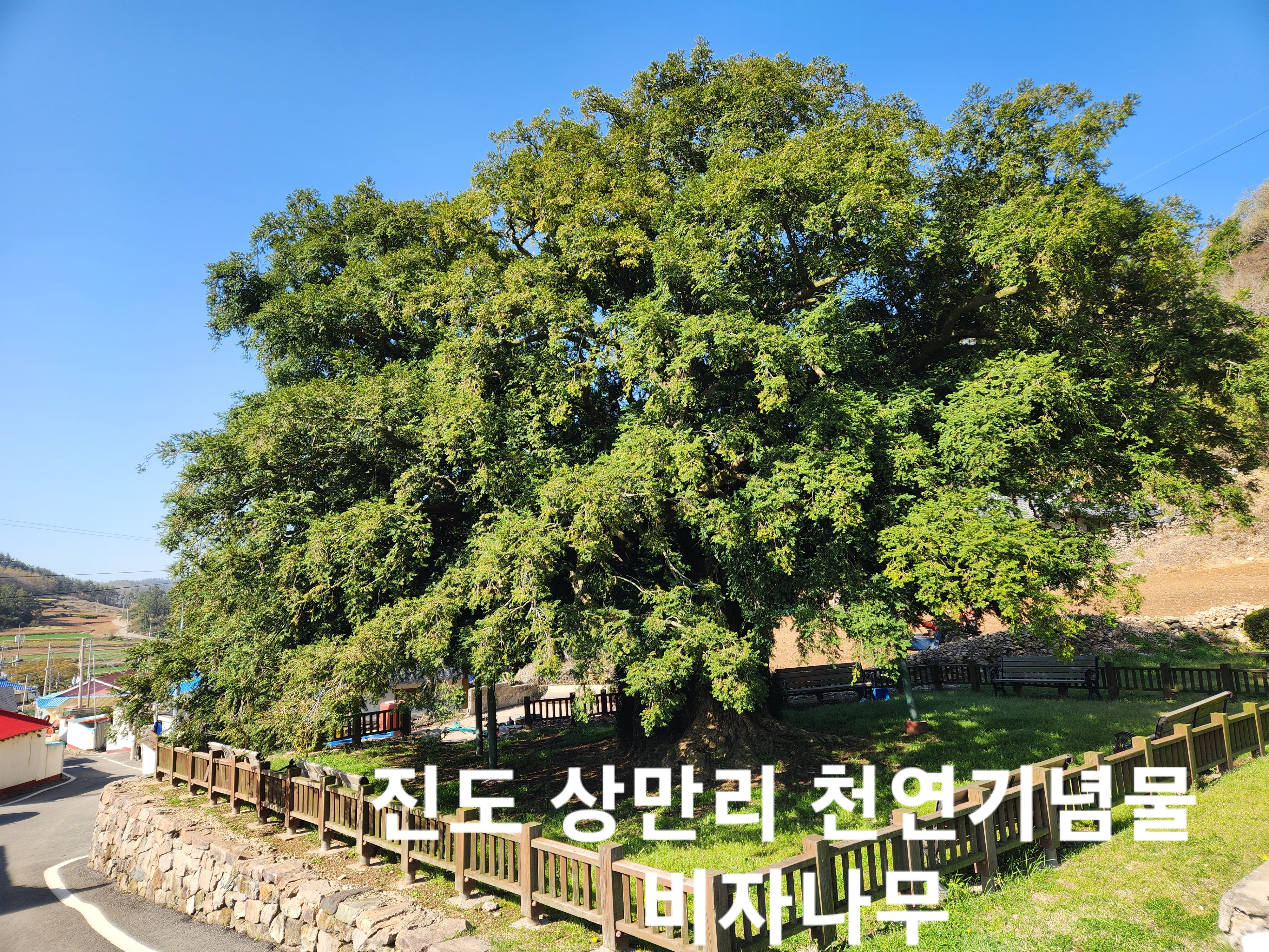 Re : ◈ 진도 운림산방에서 만난 최금숙 해설사님 고맙습니다 ◈ 첨부#3