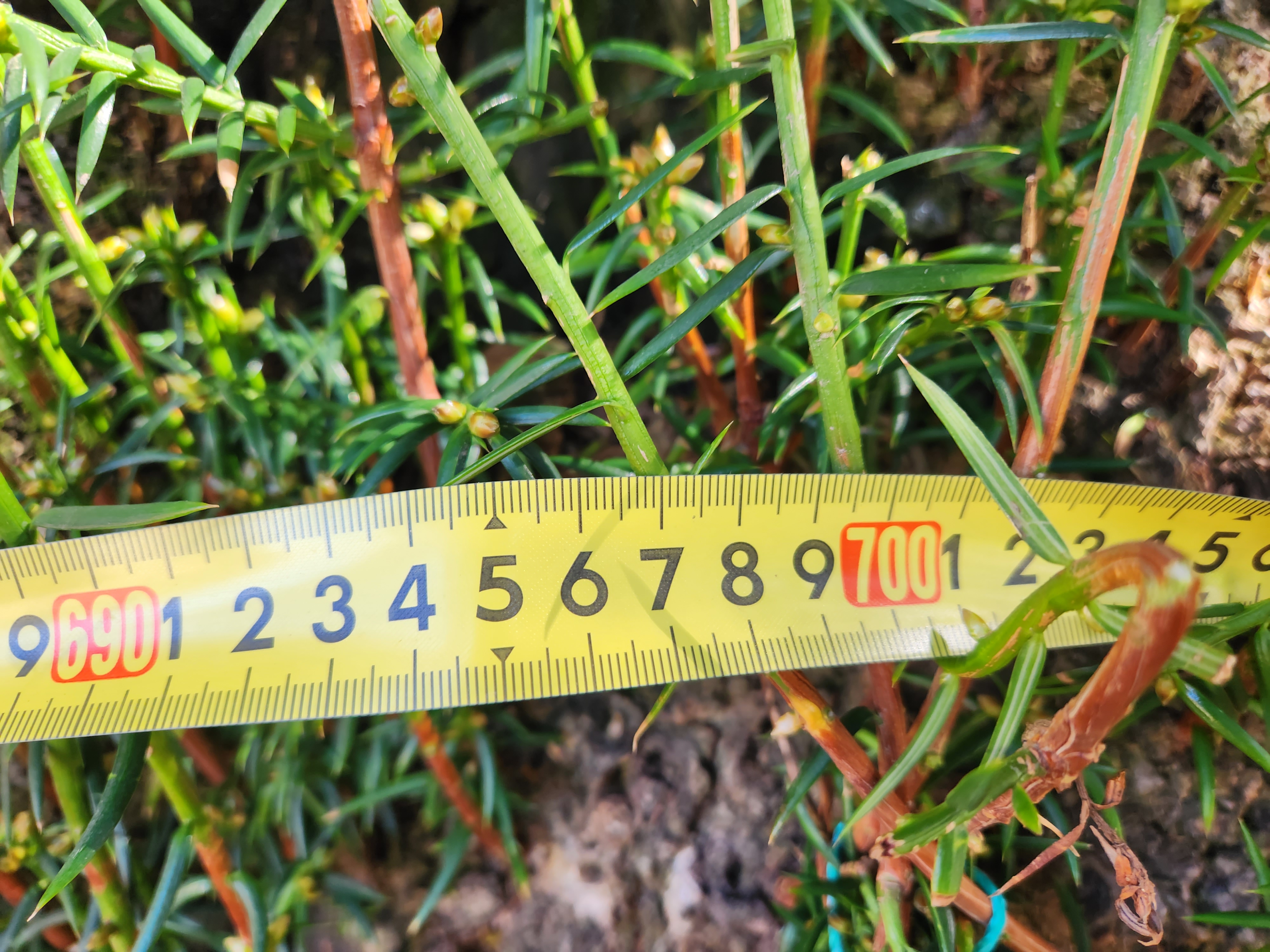 Re : ◈ 진도 운림산방에서 만난 최금숙 해설사님 고맙습니다 ◈ 첨부#4