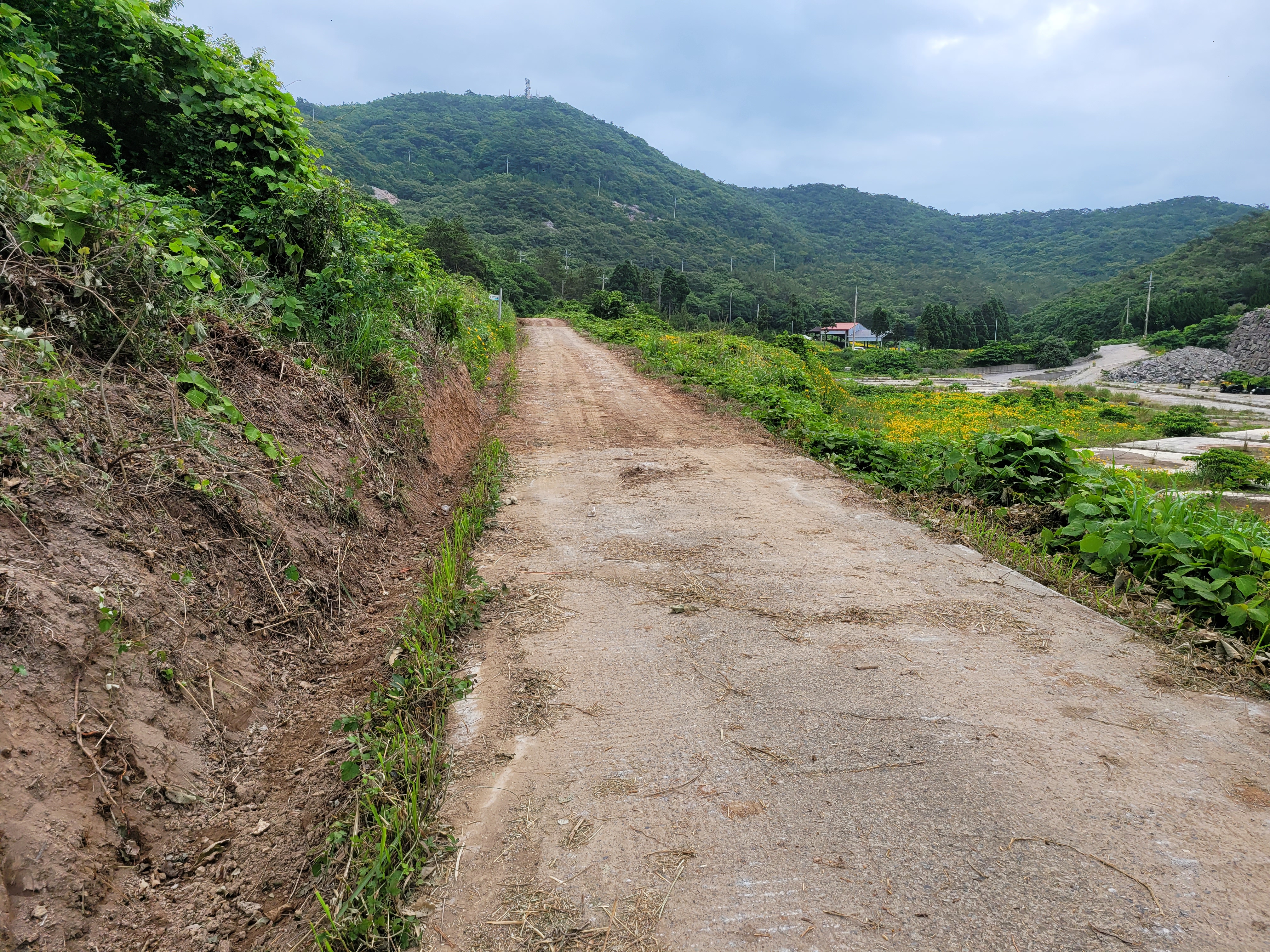 김기형 면장님 감사드립니다. 첨부#1