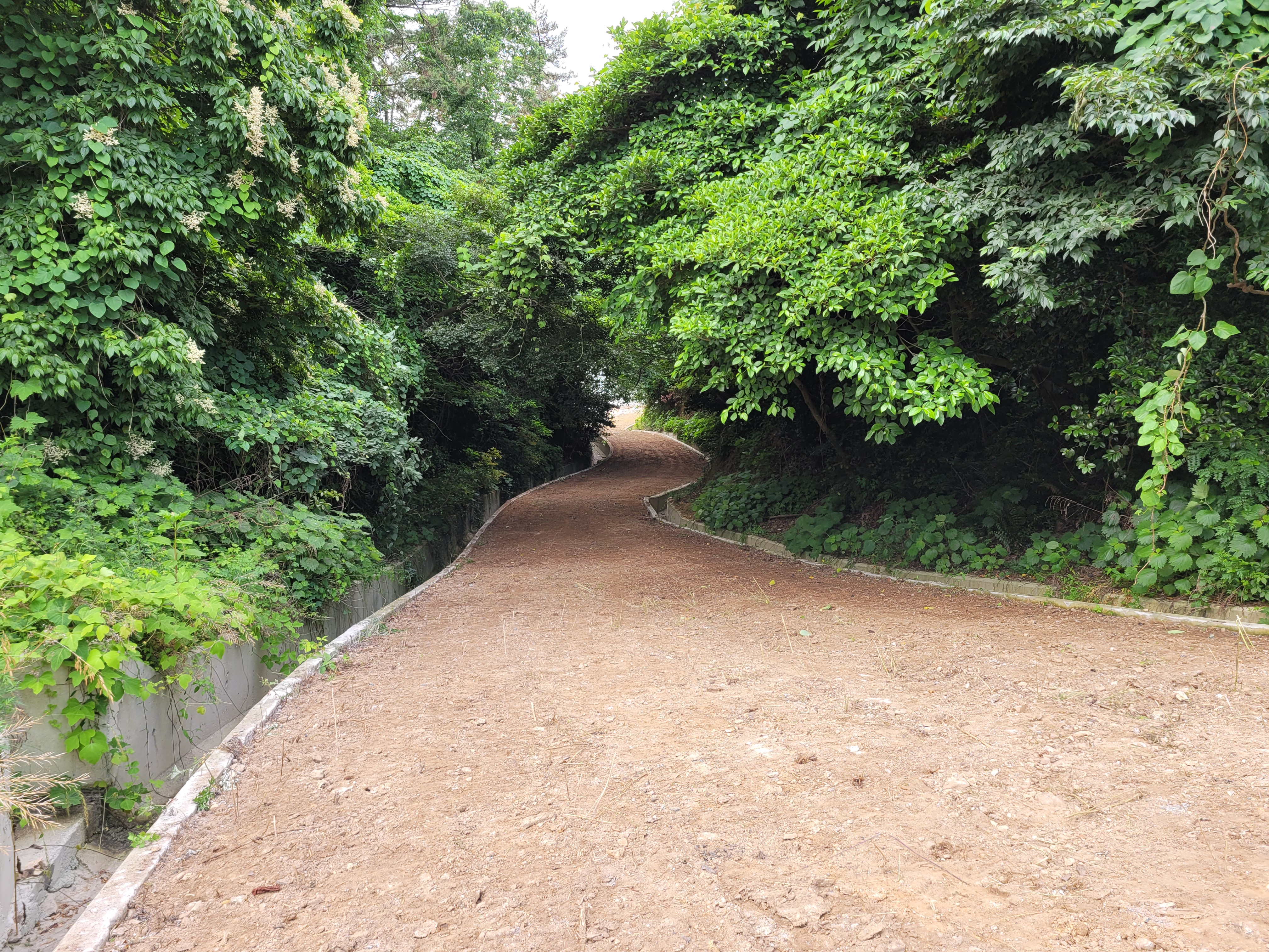 김기형 면장님 감사드립니다. 첨부#4