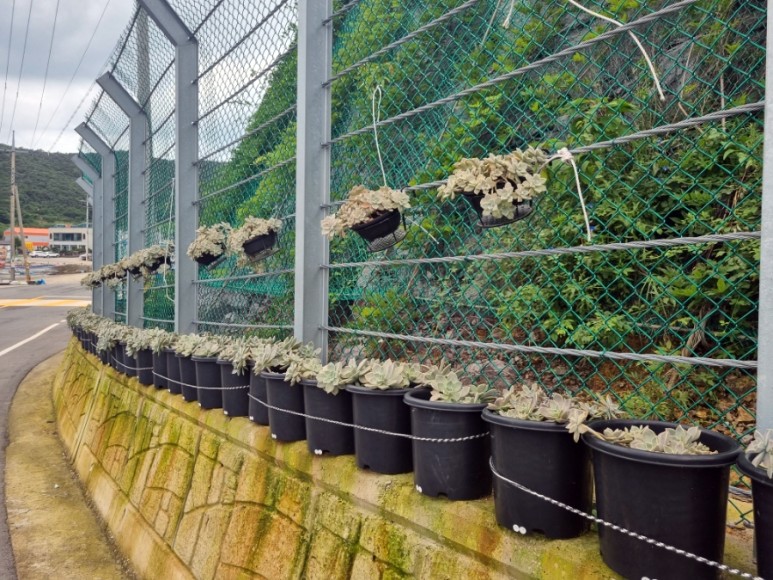 숨품항을 더욱 아름답게 가꾸어 준 조정우님을 칭찬합니다. 첨부#2