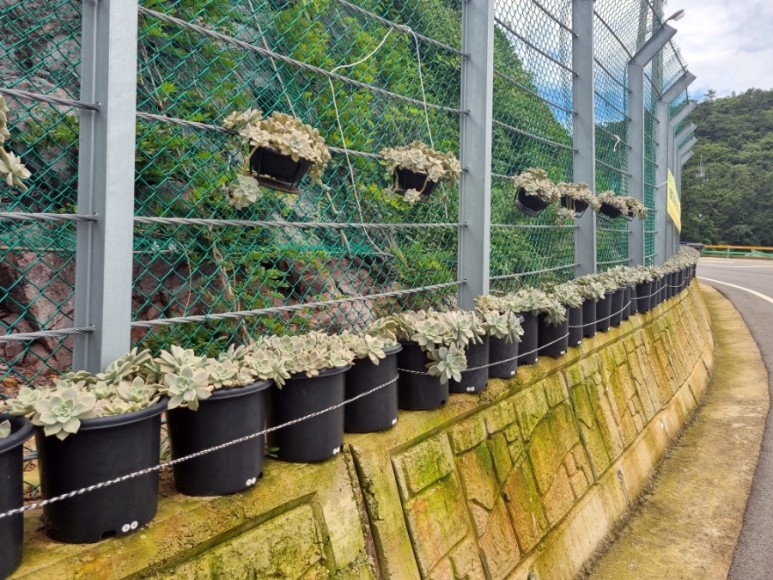 숨품항을 더욱 아름답게 가꾸어 준 조정우님을 칭찬합니다. 첨부#3