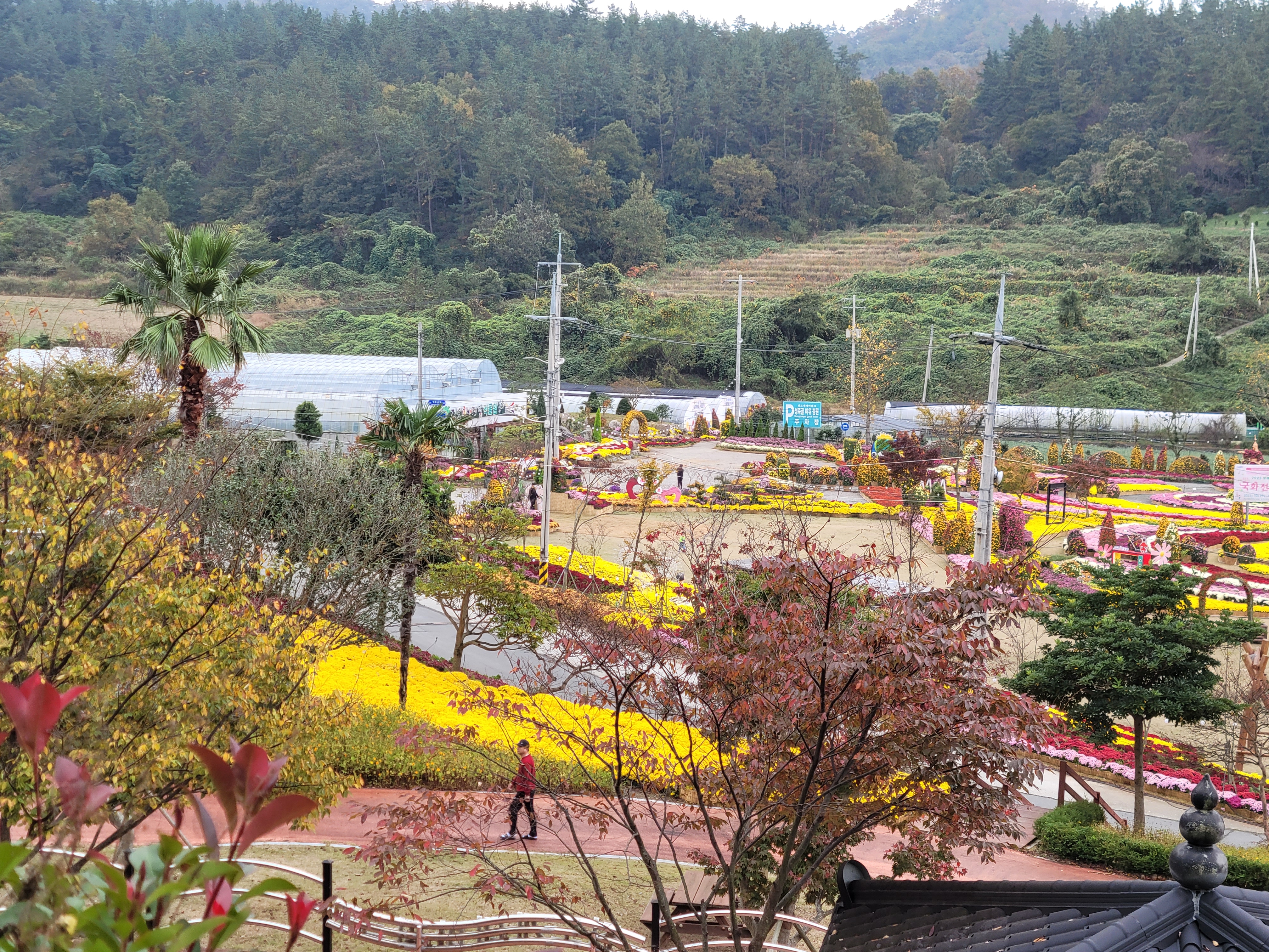 Re : 국화향기 잔뜩 맡을 수 있어 정말 행복합니다~~ 첨부#2