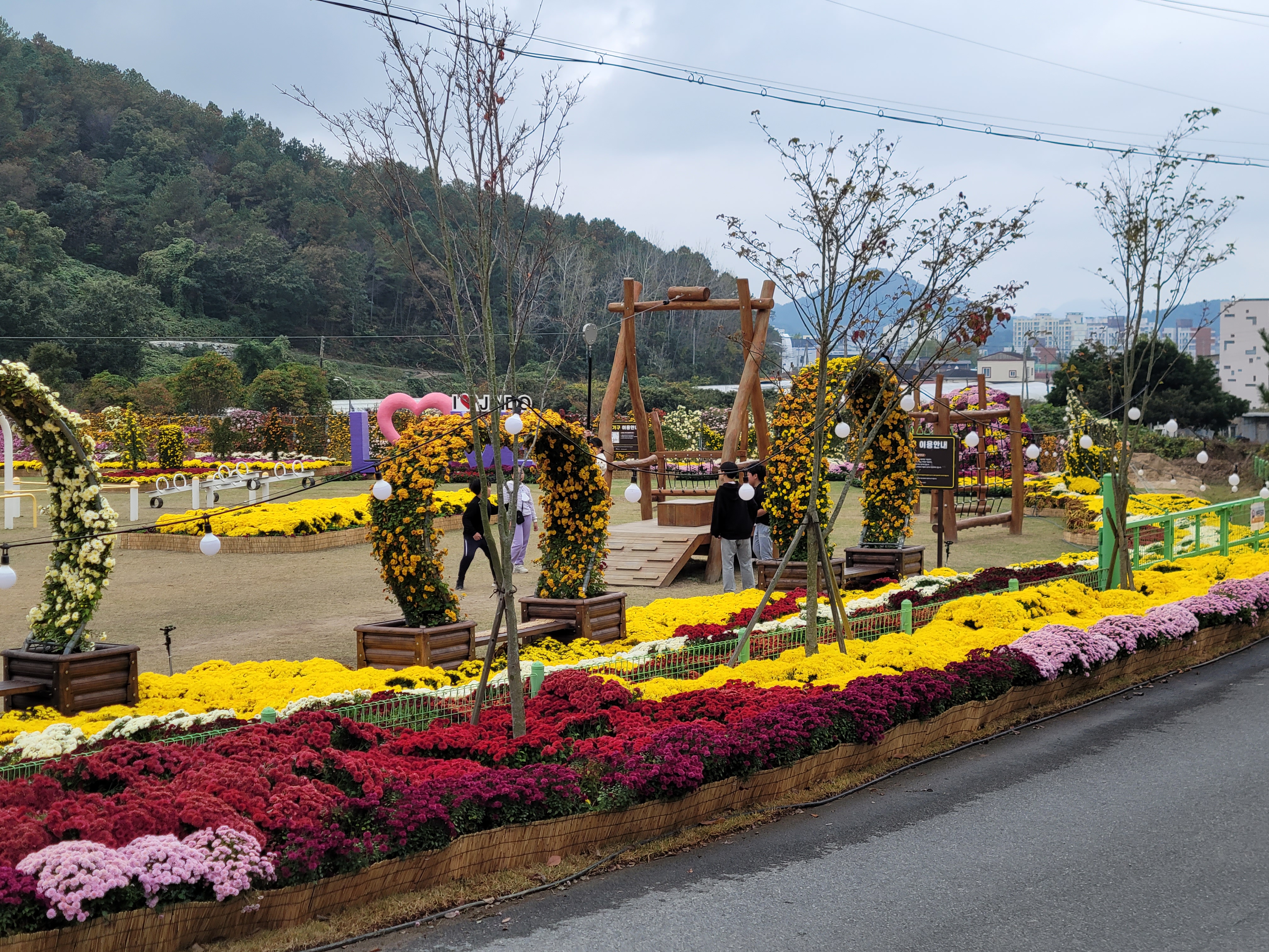 Re : 국화향기 잔뜩 맡을 수 있어 정말 행복합니다~~ 첨부#3