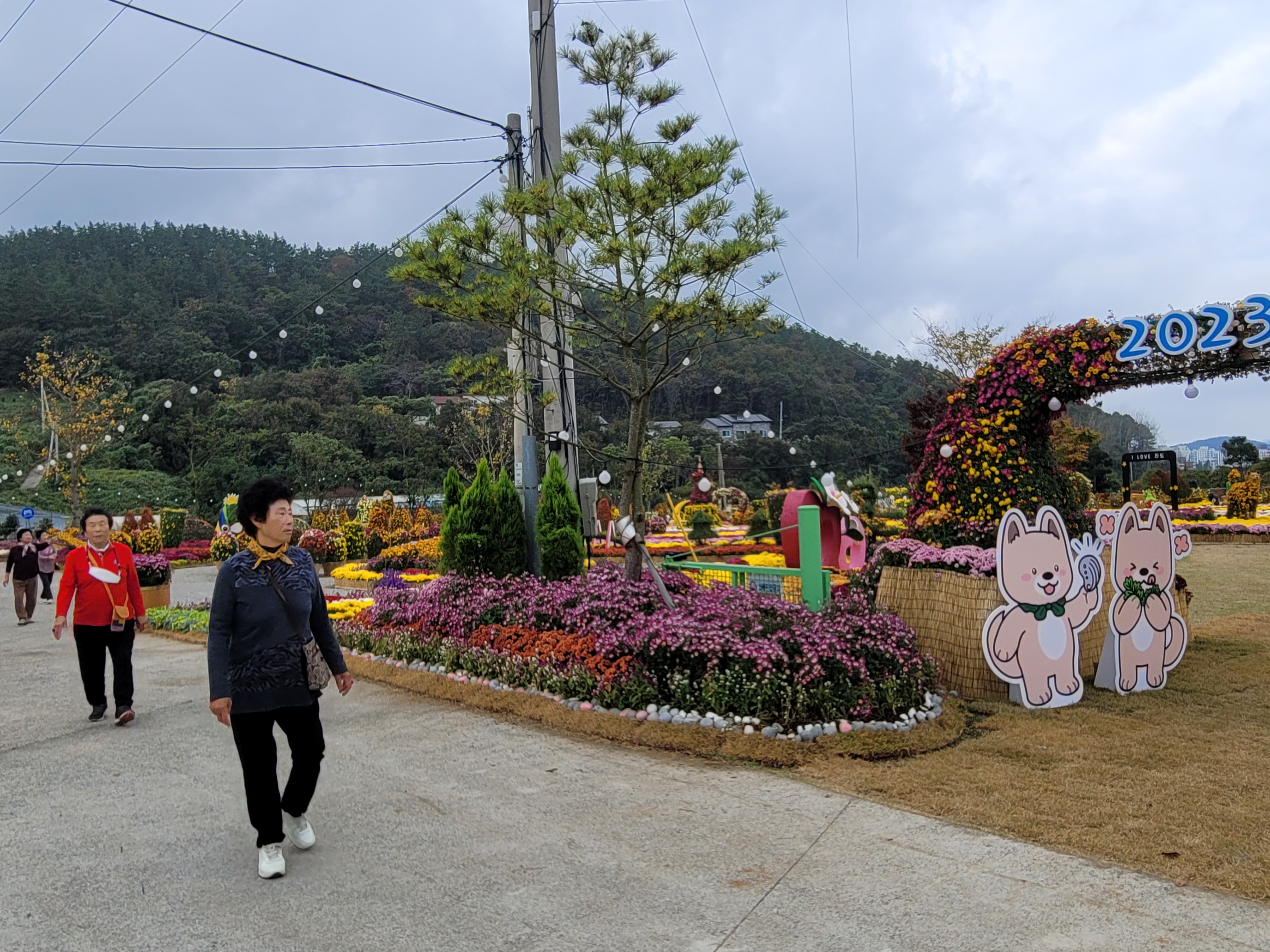 Re : 국화향기 잔뜩 맡을 수 있어 정말 행복합니다~~ 첨부#4