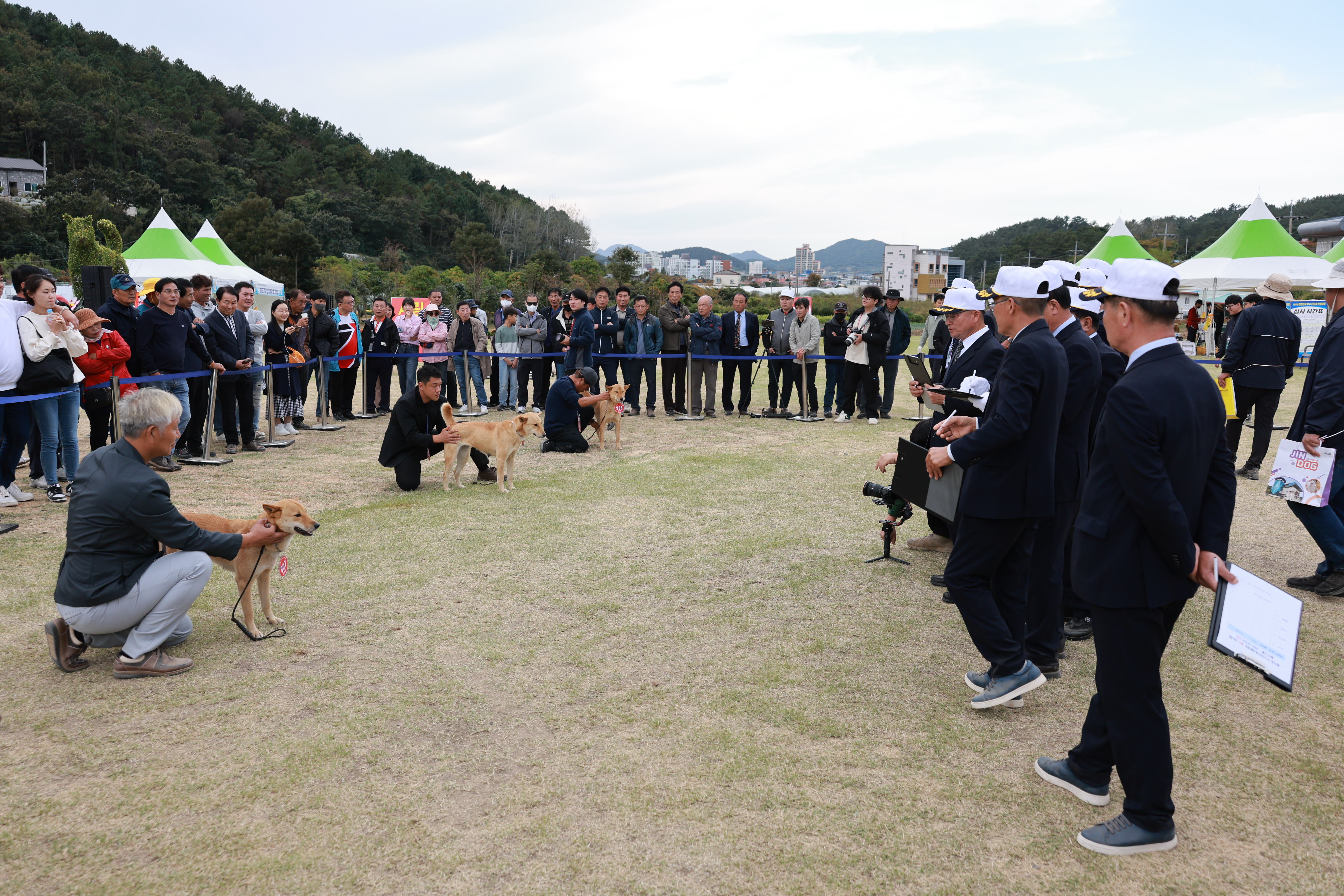 제27회 대한민국 우수 진도개 선발대회 첨부#8