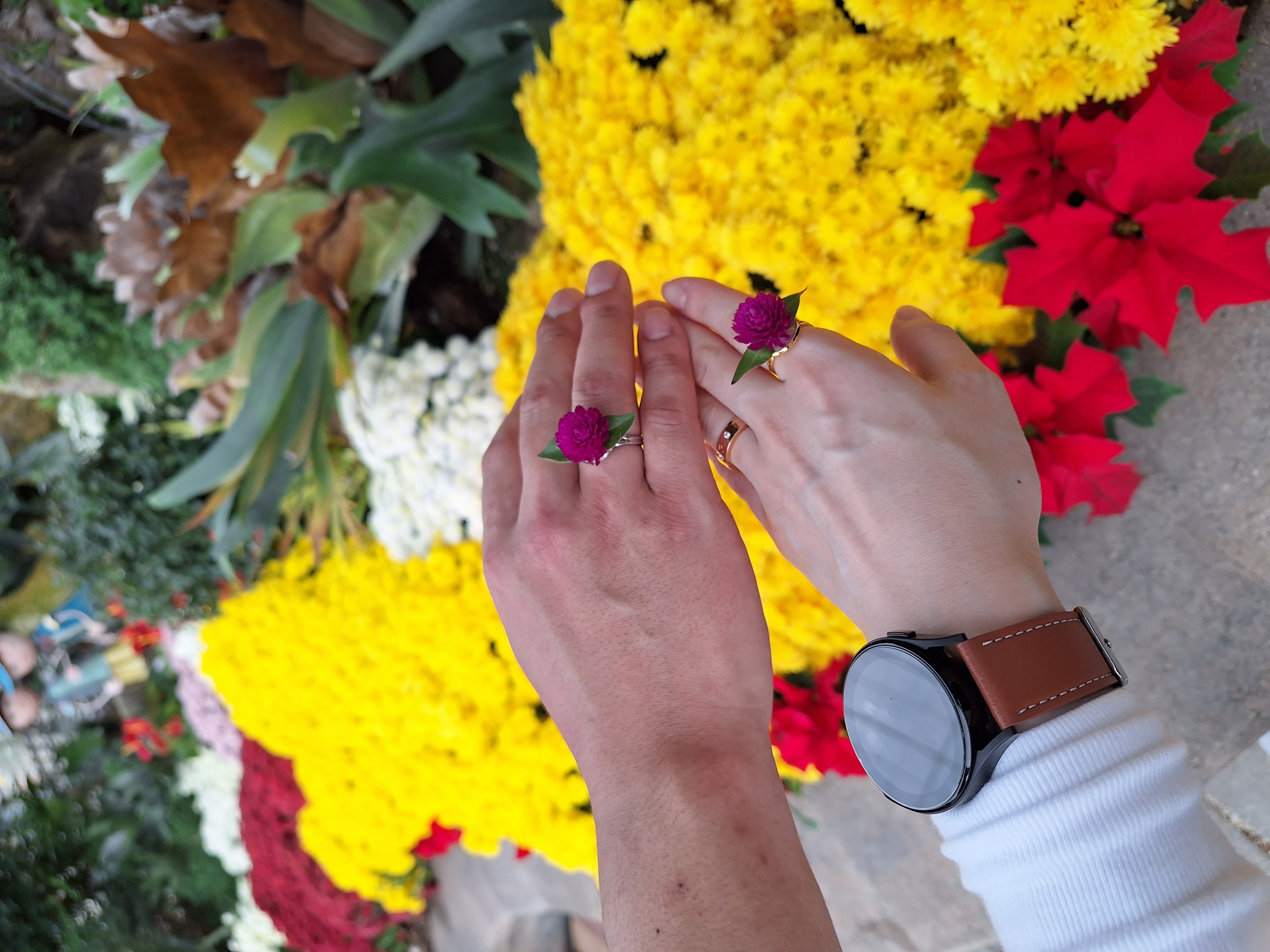 그린리더스와함께한 진도국화축제 첨부#2