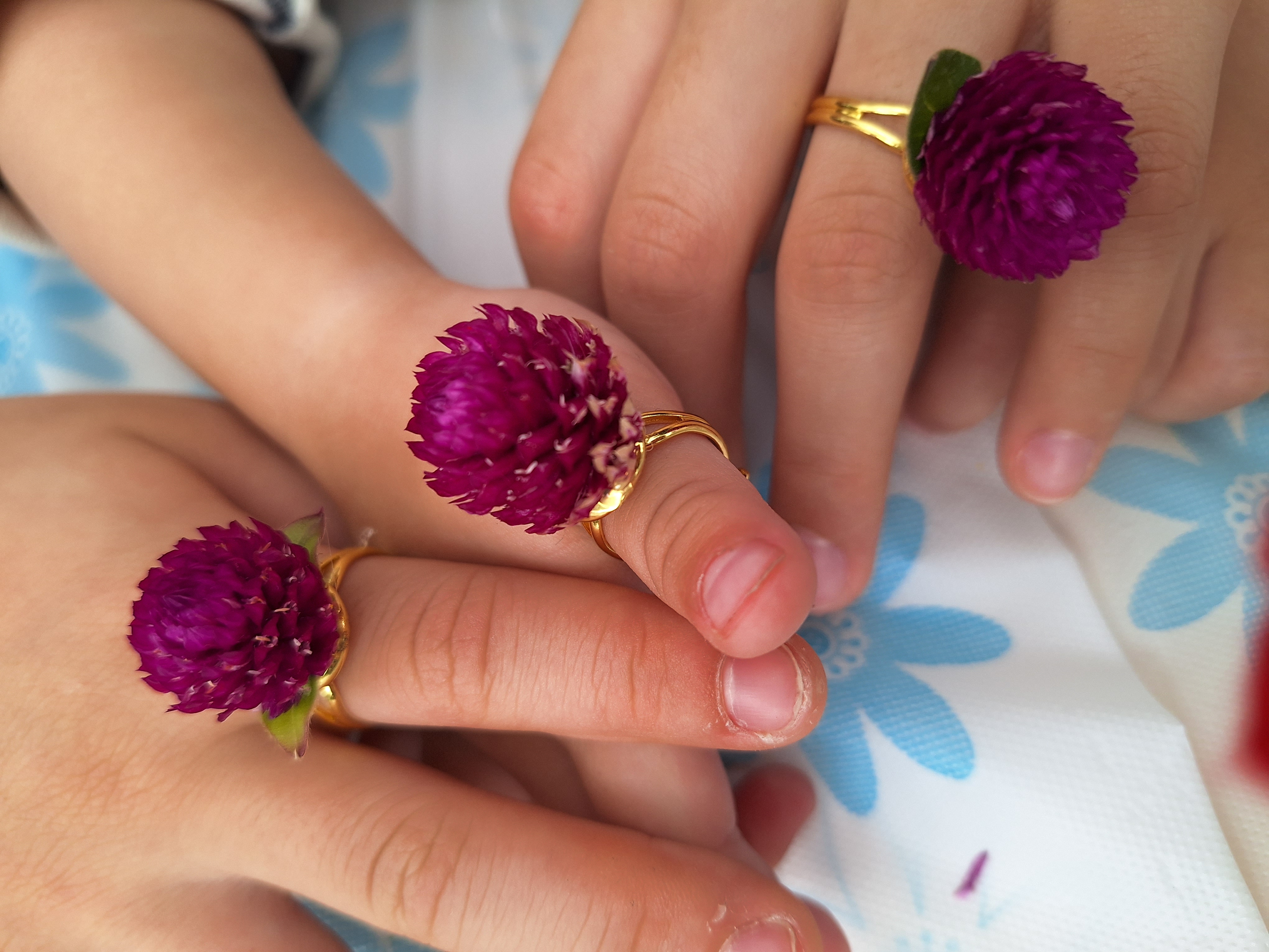 그린리더스와함께한 진도국화축제 첨부#3