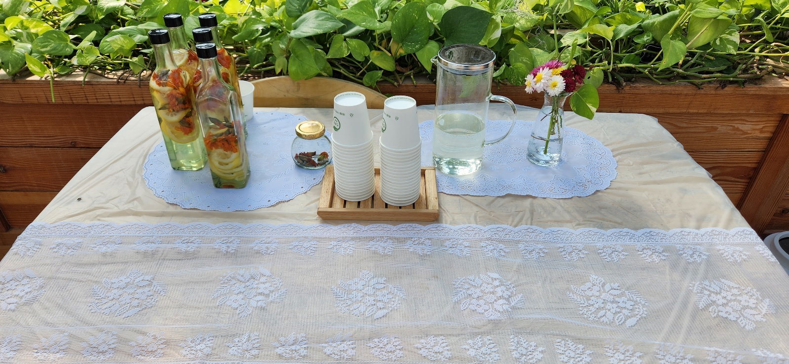 그린리더스와함께한 진도국화축제 첨부#5