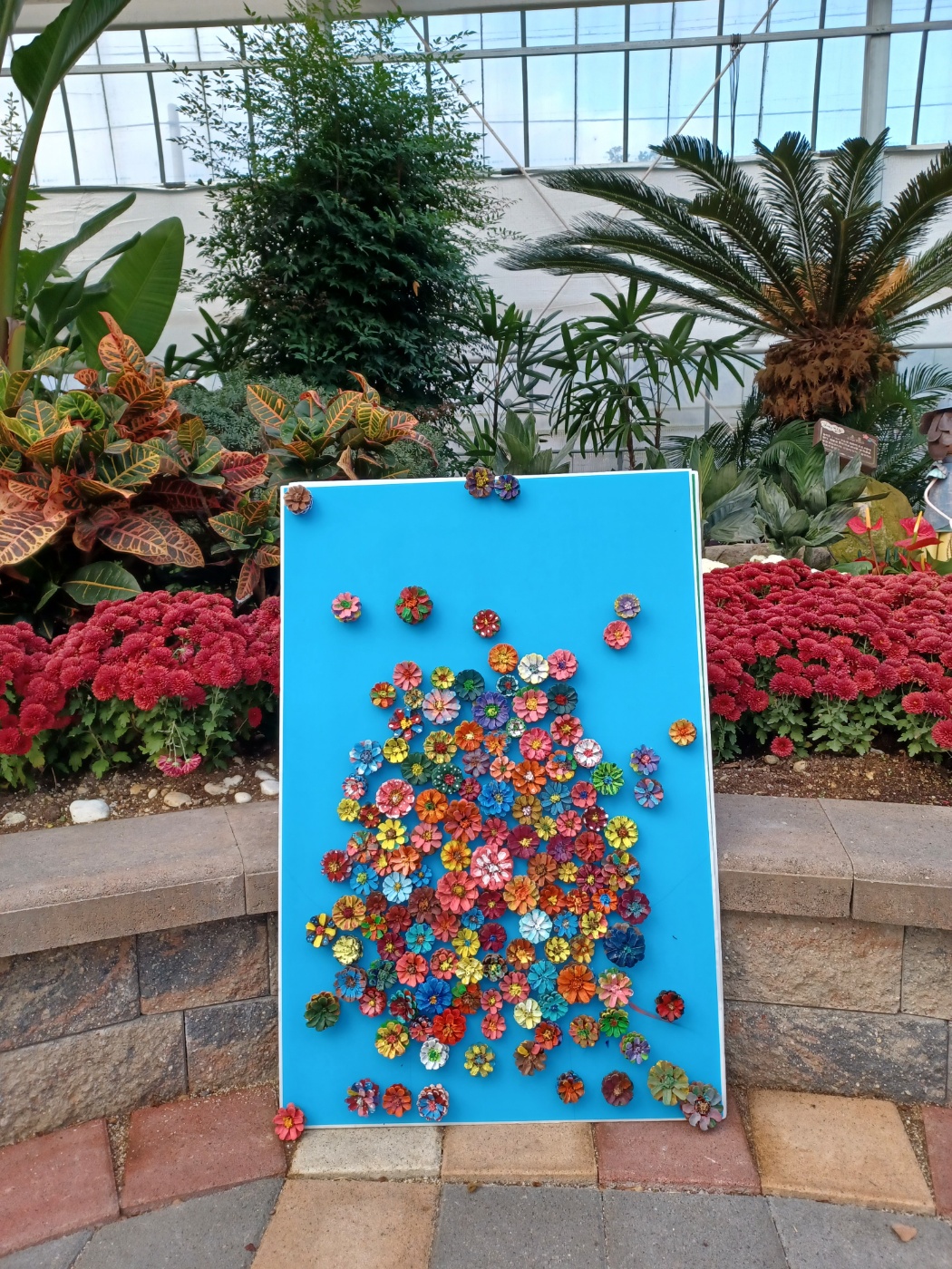 그린리더스와함께한 진도국화축제 첨부#4