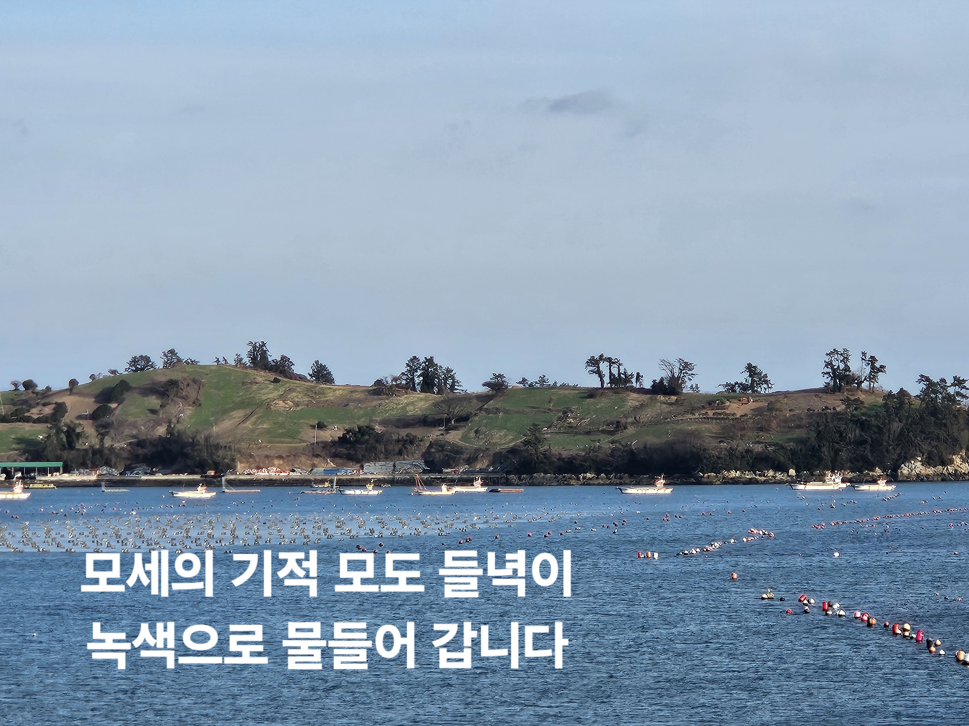 10년 이상 잠자던 모세의 기적 모도 첨부#2