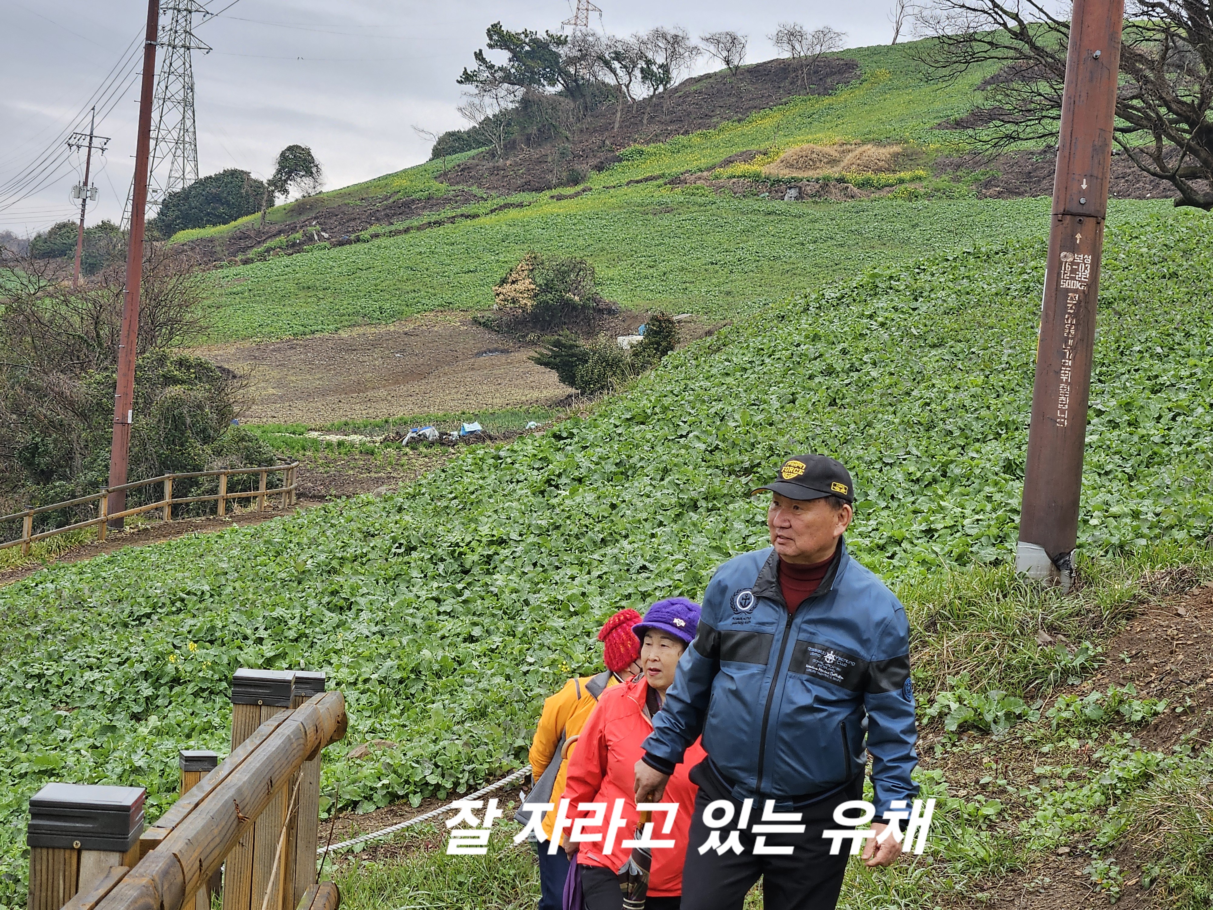 진도군 화이팅!감사드립니다. 첨부#2