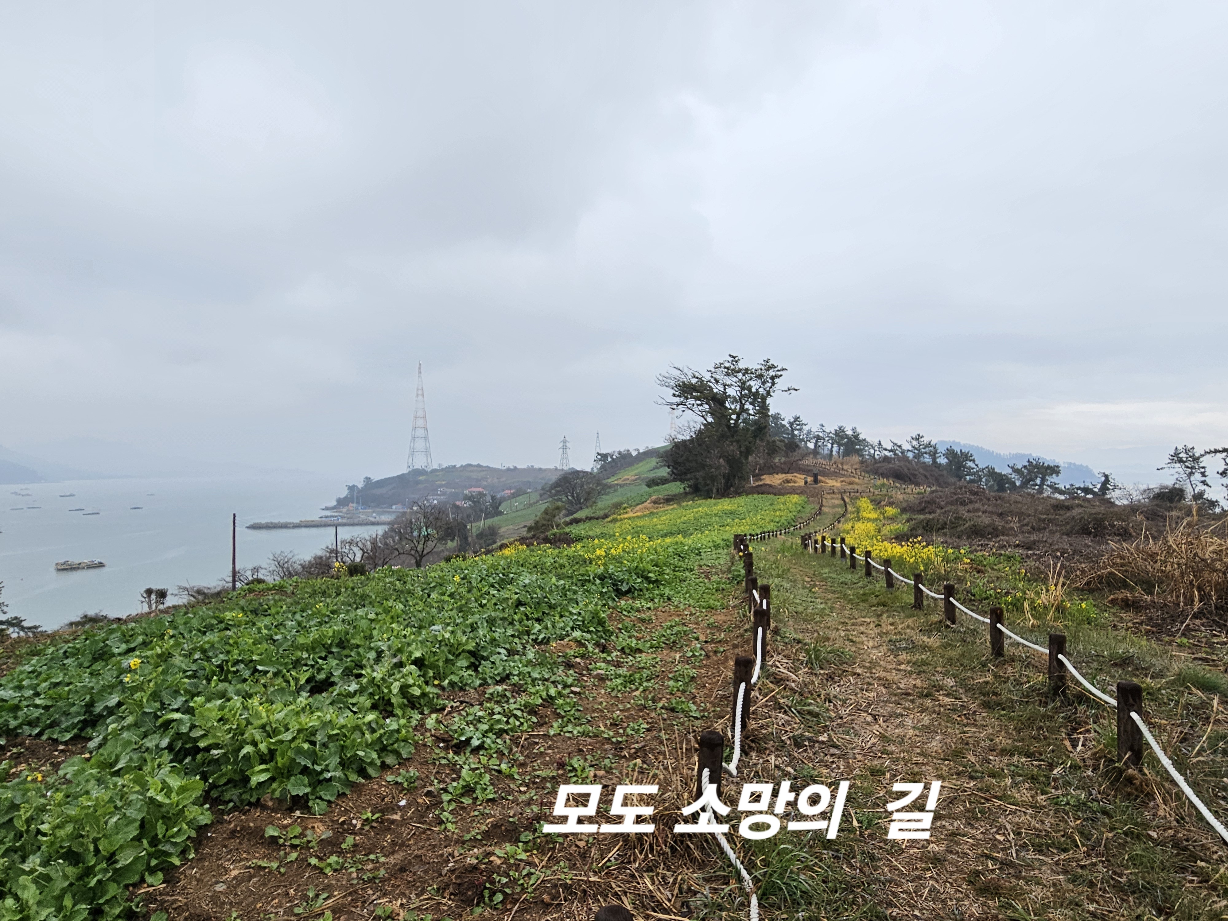 진도군 화이팅!감사드립니다. 첨부#3