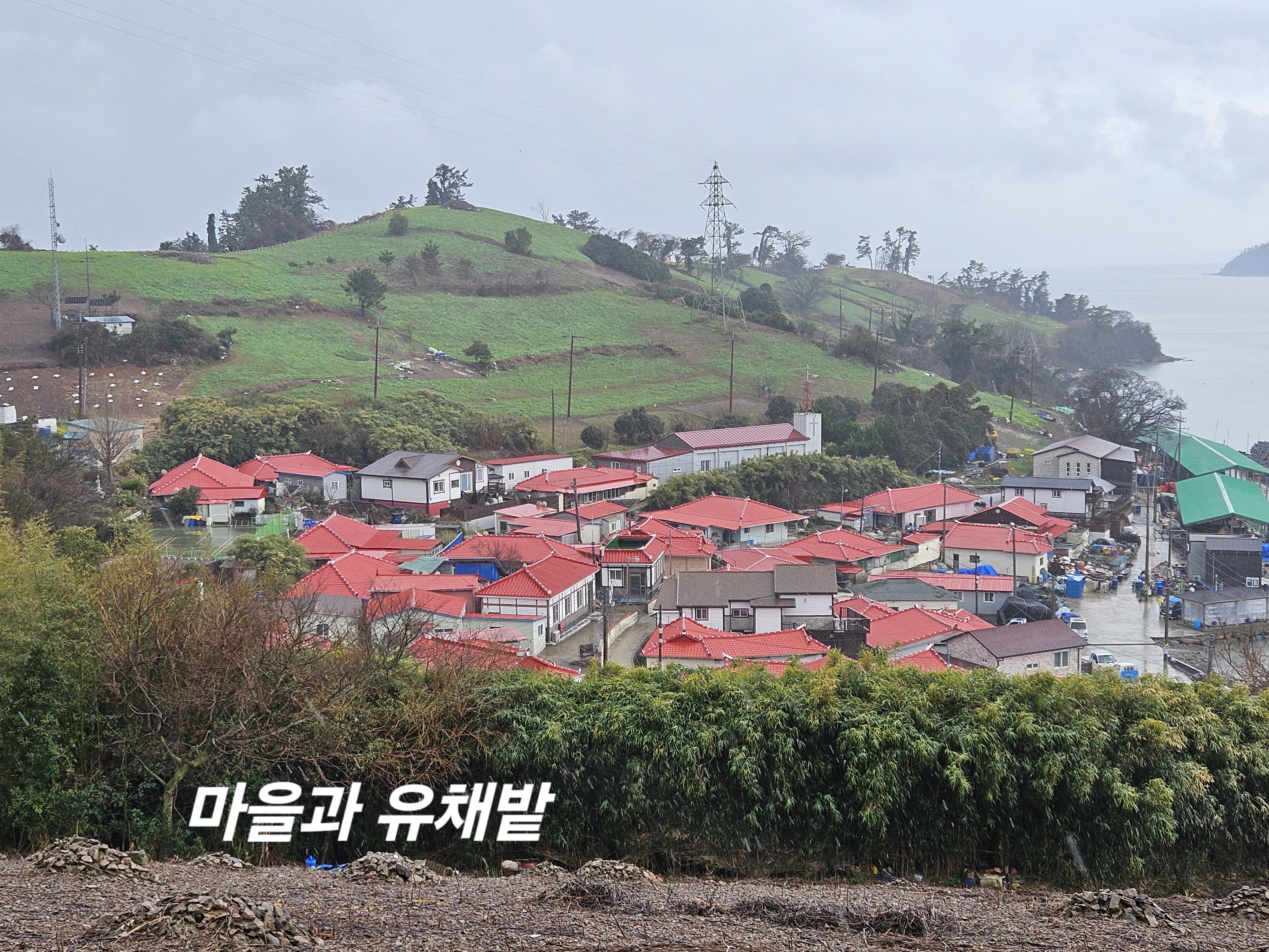 진도군 화이팅!감사드립니다. 첨부#4