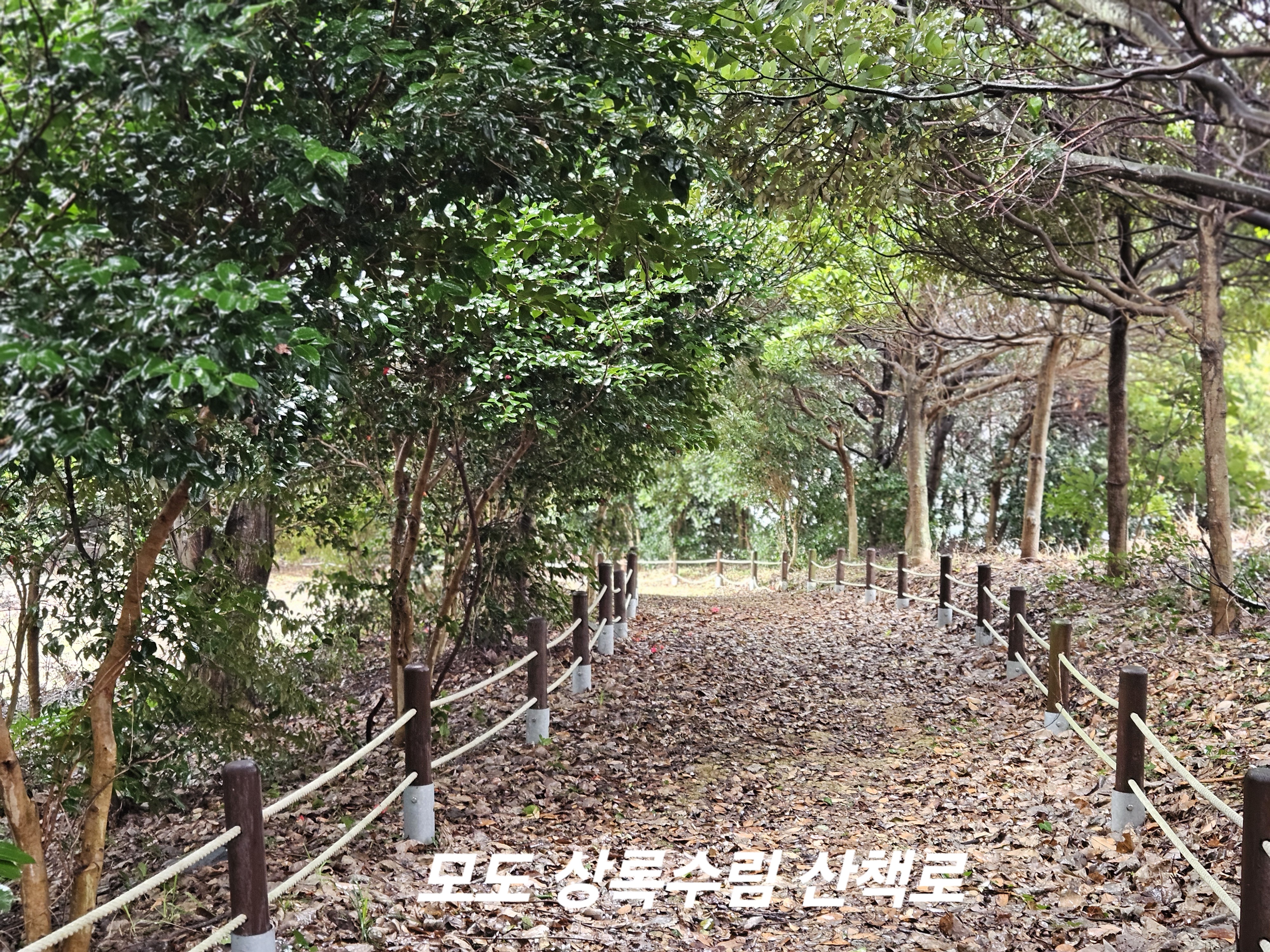 진도군 화이팅!감사드립니다. 첨부#5