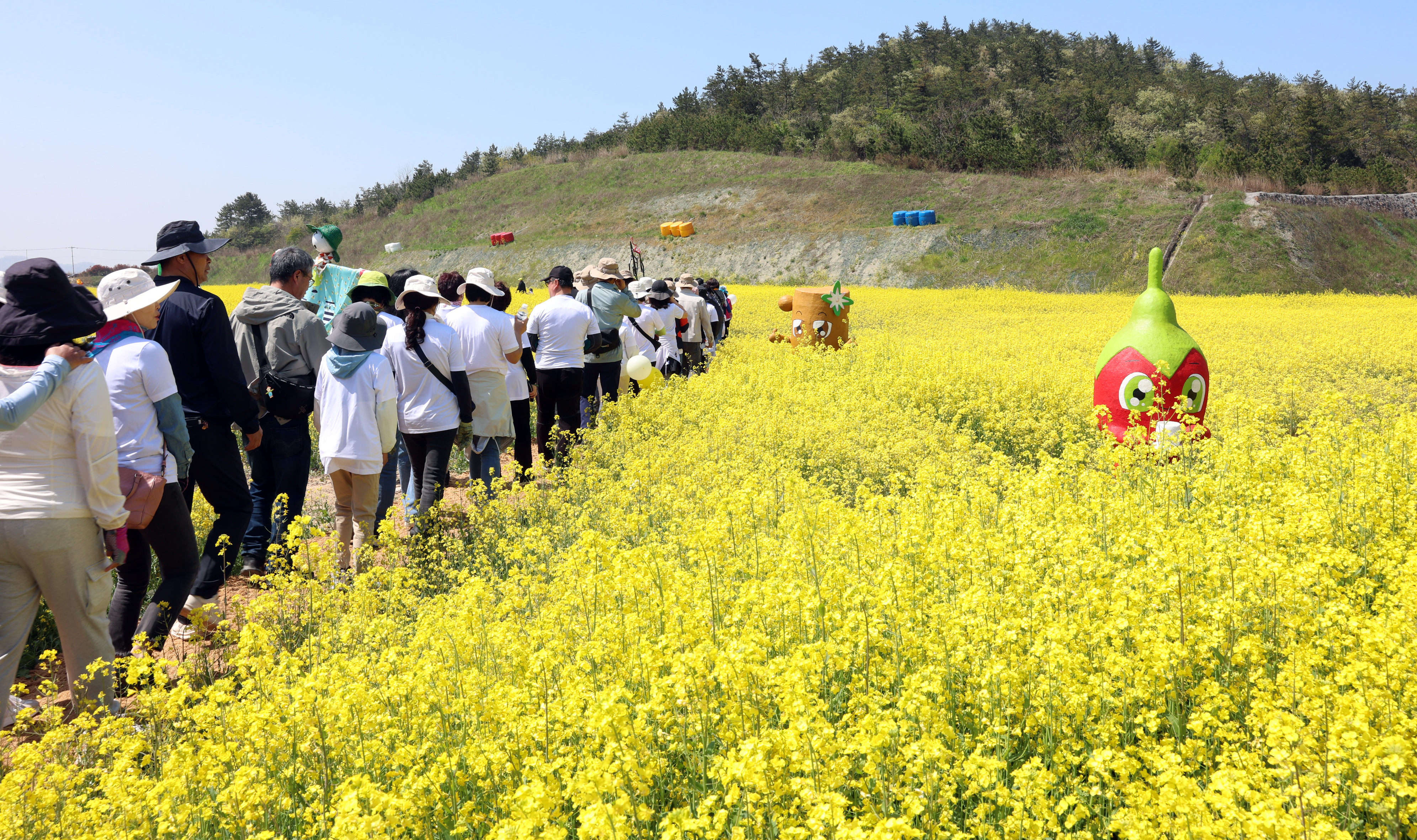 2024 보배섬 유채꽃길 가족걷기 축제 개회식 첨부#9