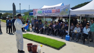 벼 병해충 모판 관주처리 시범사업 현장 연시회 이미지