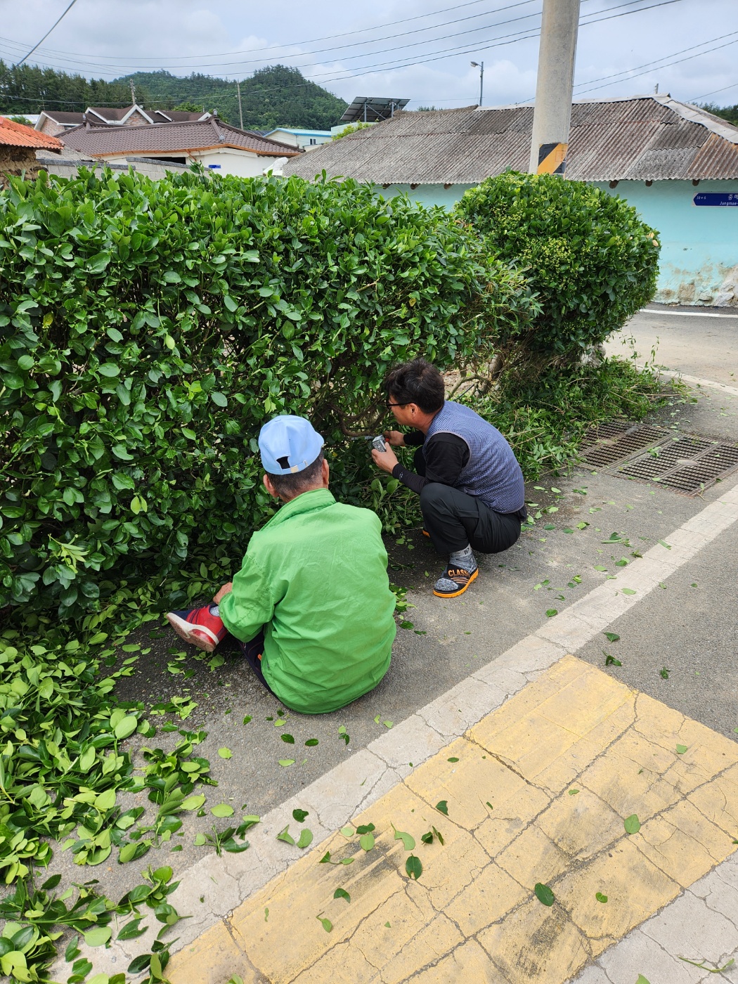 부모님의 말벗이 되어주신 이상윤님께 감사인사드립니다 첨부#1