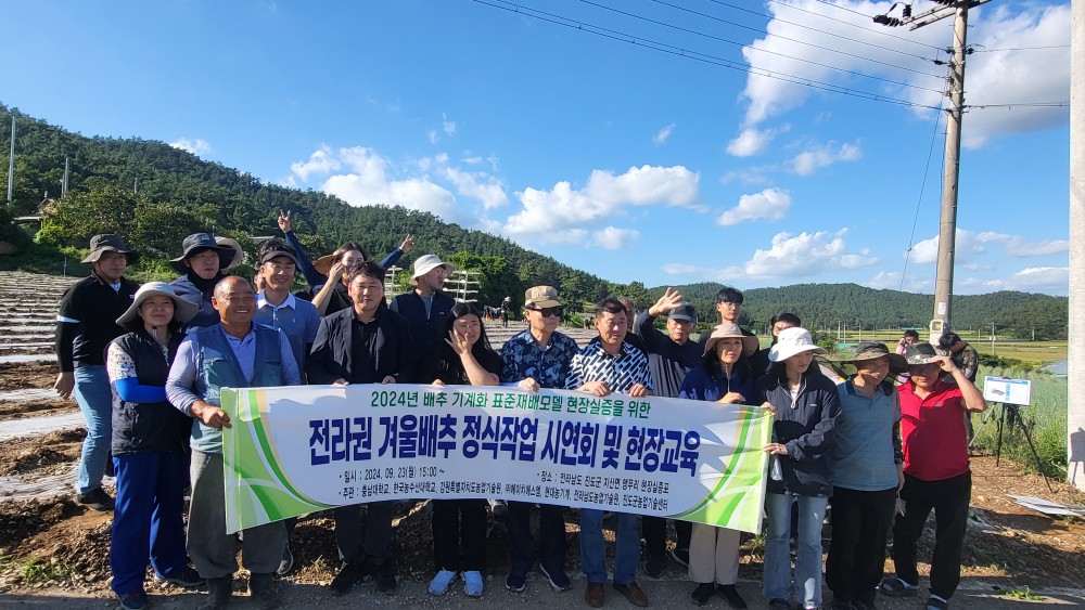 전라권 겨울배추 정식작업 현장 시연회 이미지