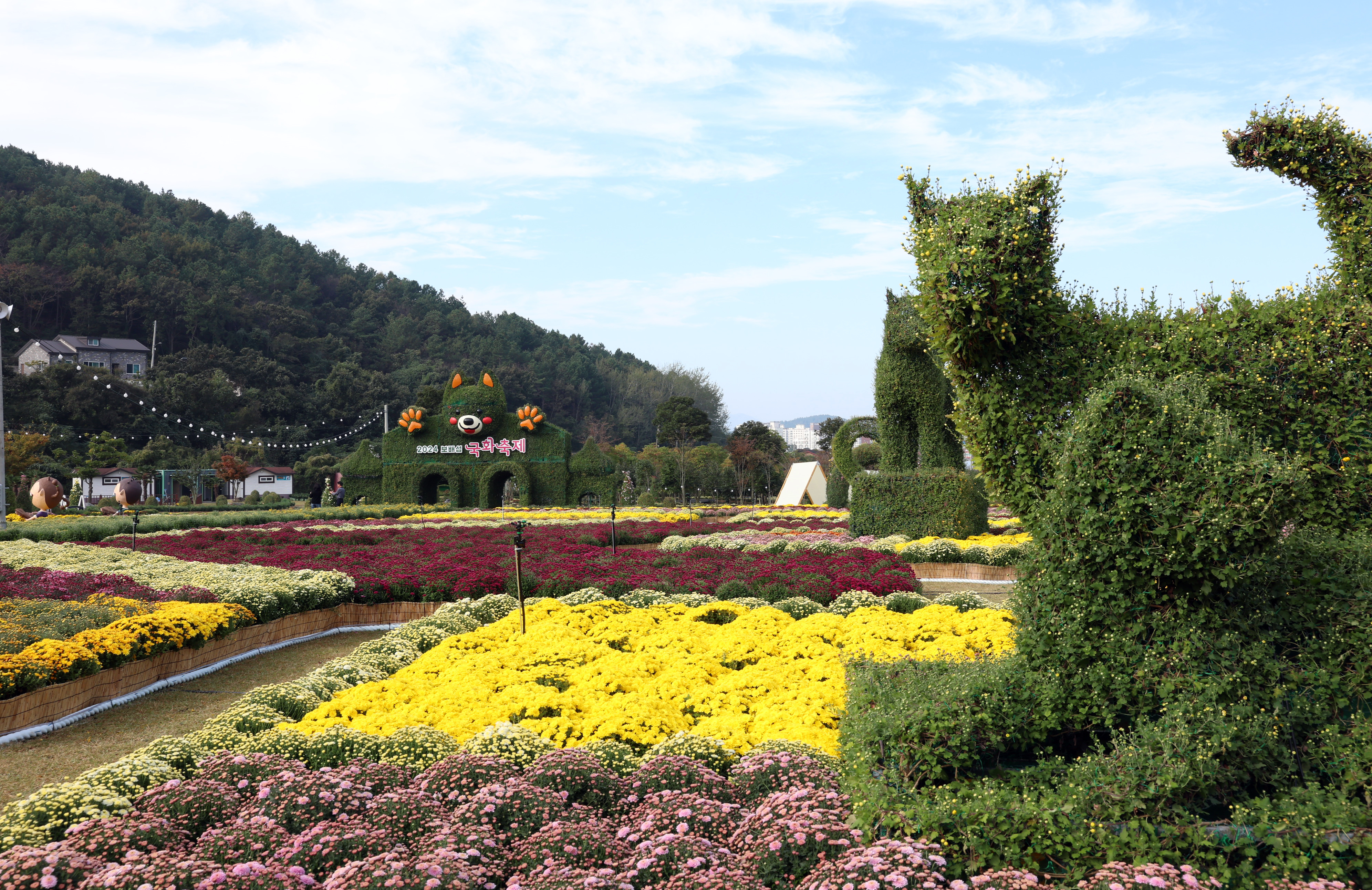 2024 보배섬 국화 축제 개막식 첨부#6