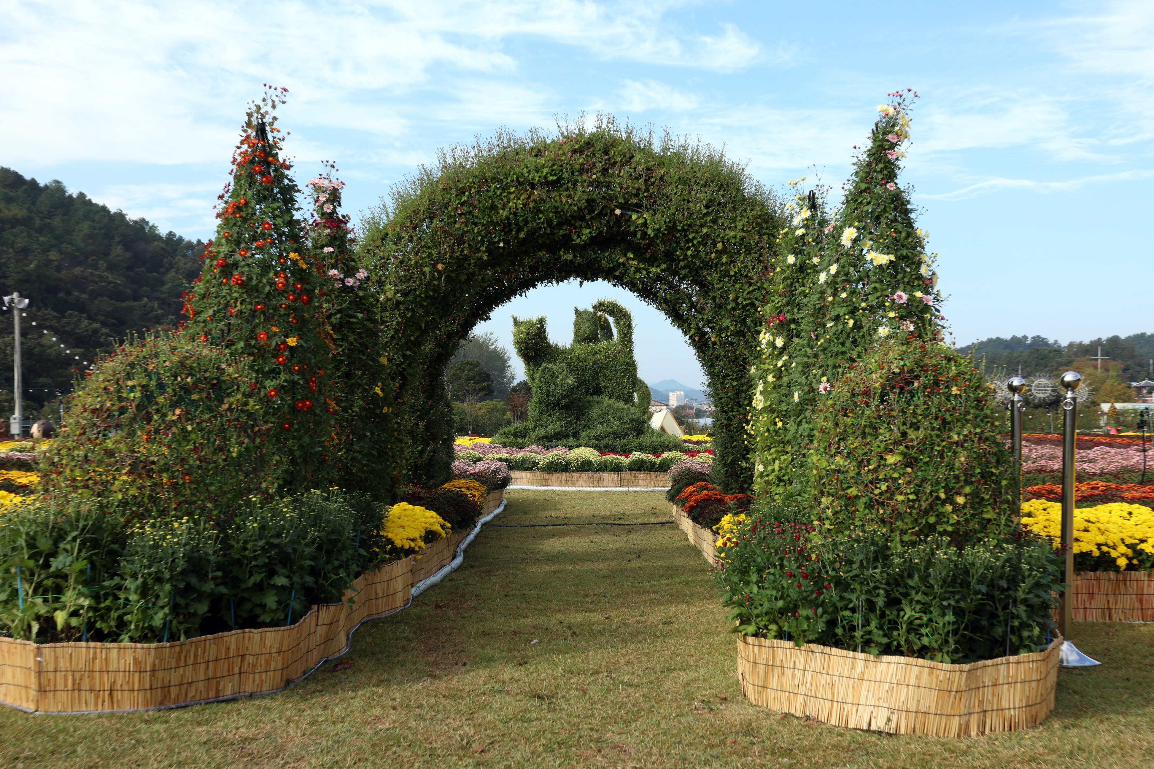2024 보배섬 국화 축제 개막식 첨부#10