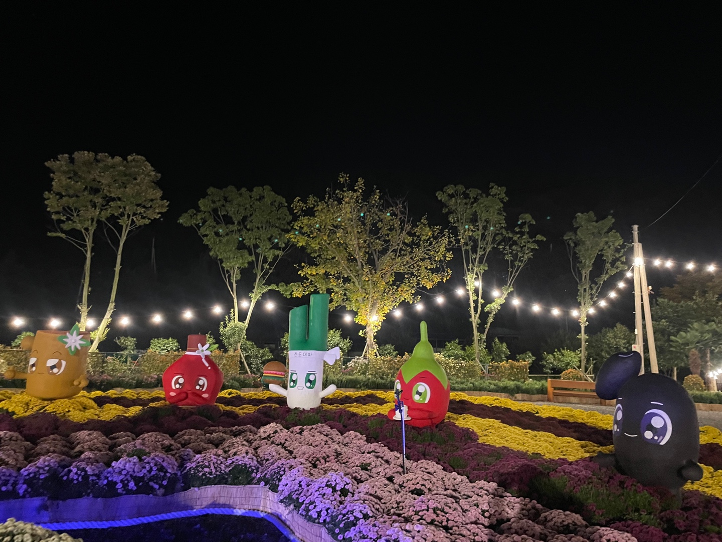 2024 국화축제 칭찬합니다 첨부#2